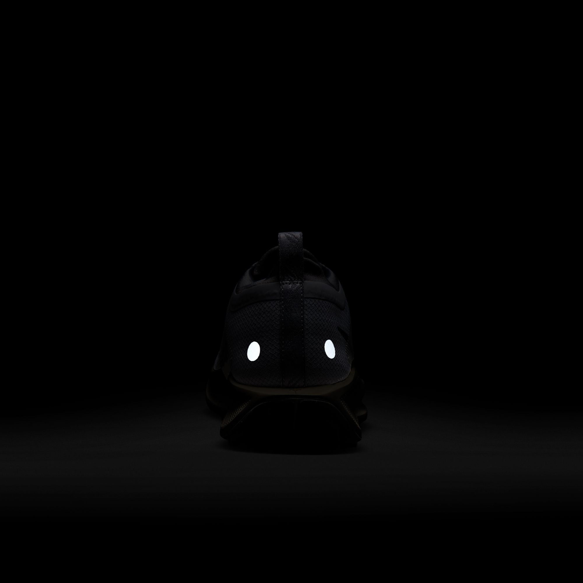 Nike Men's Pegasus Trail 5 GORE-TEX Running Shoes product image