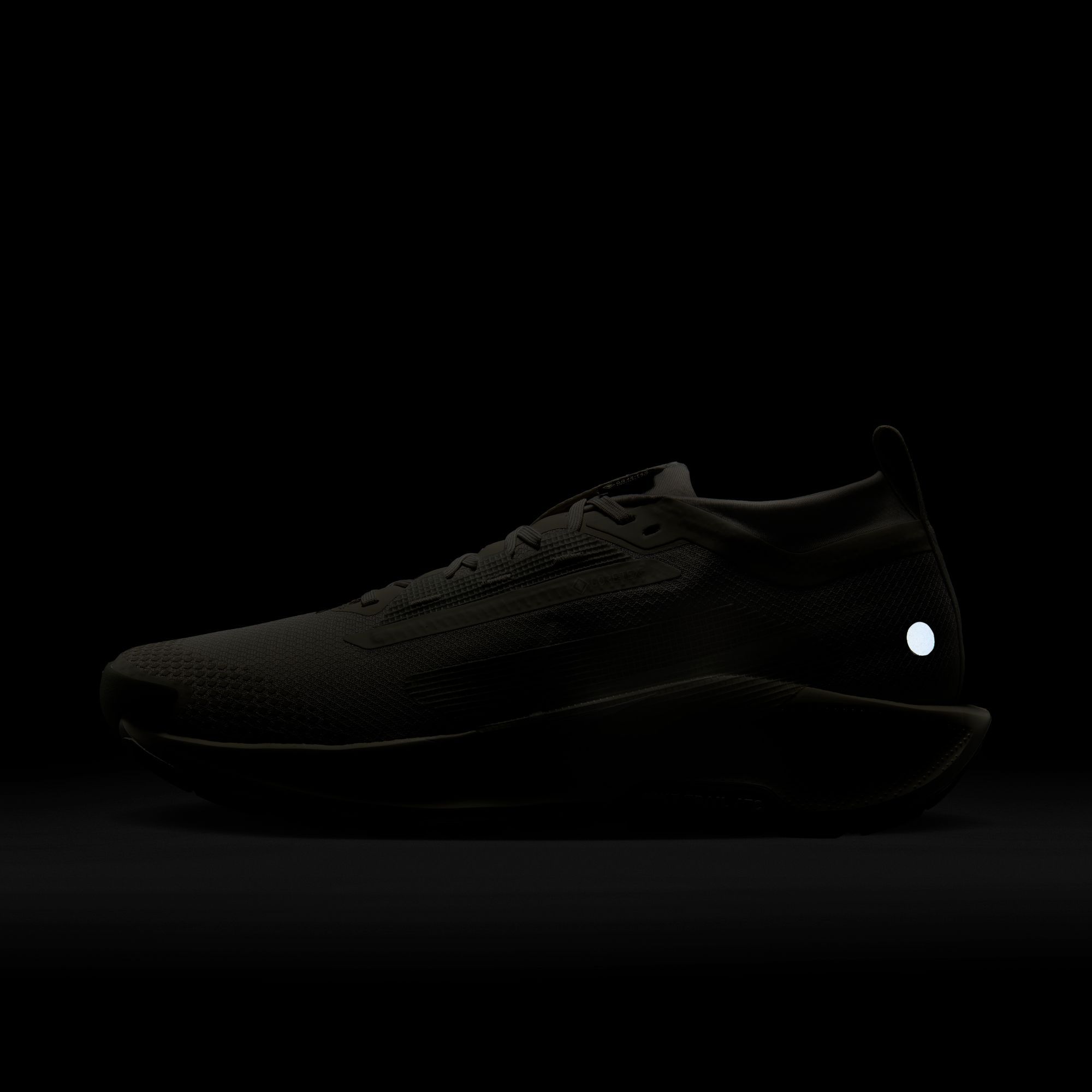 Nike Men's Pegasus Trail 5 GORE-TEX Running Shoes product image