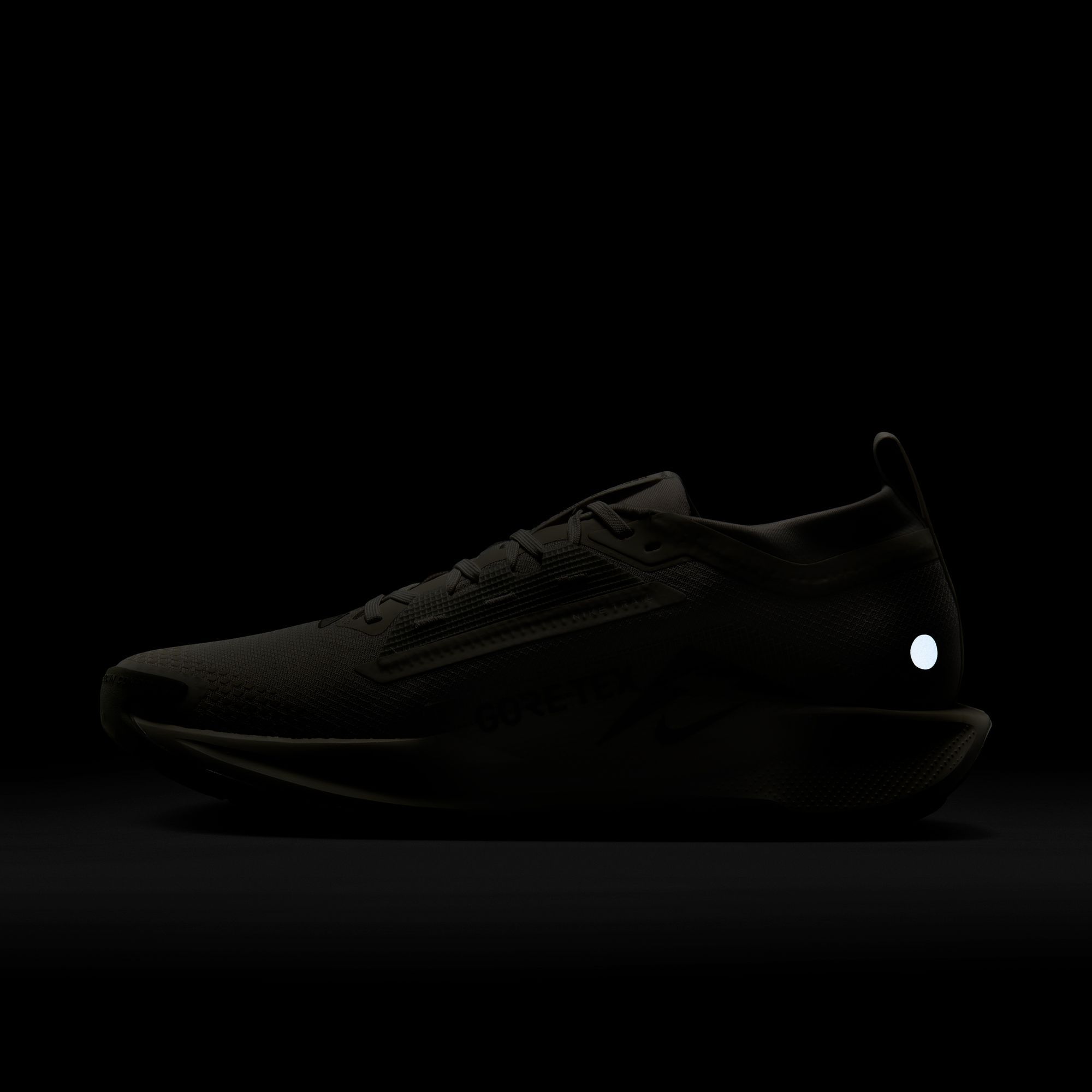 Nike Men's Pegasus Trail 5 GORE-TEX Running Shoes product image