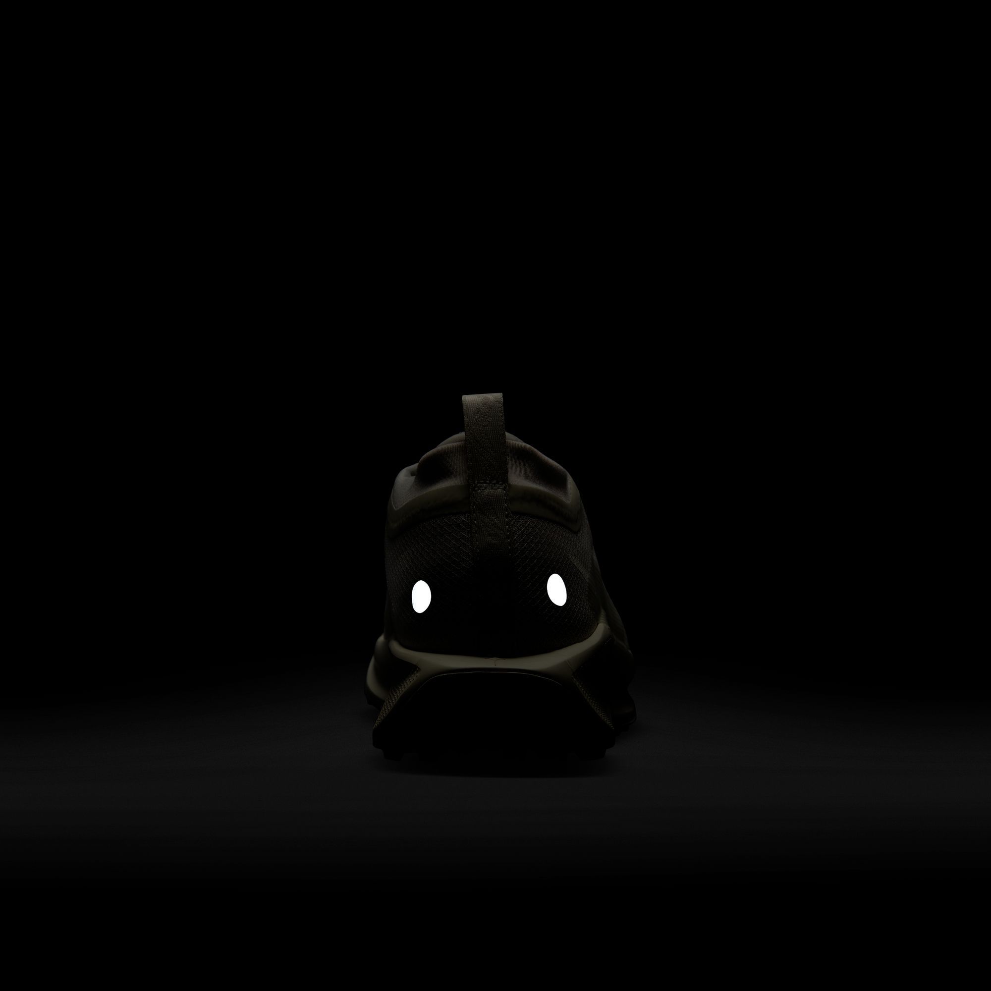 Nike Men's Pegasus Trail 5 GORE-TEX Running Shoes product image