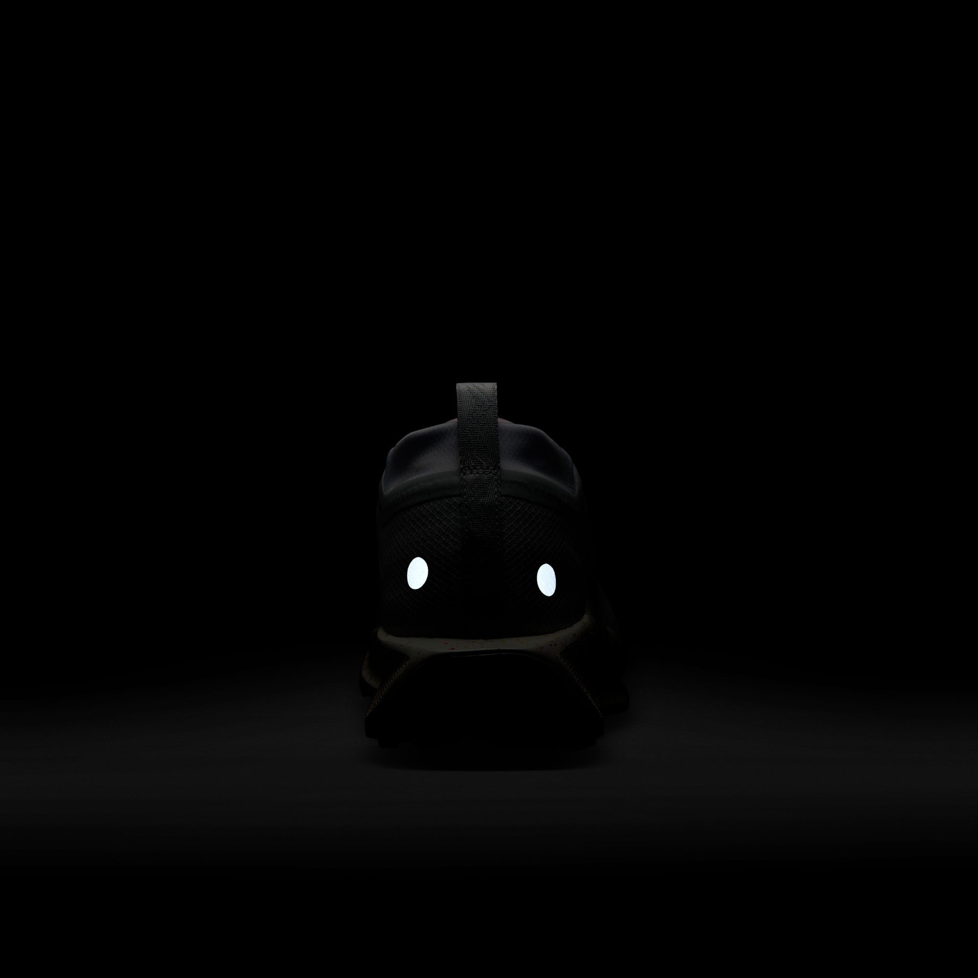 Nike Men's Pegasus Trail 5 GORE-TEX Running Shoes product image