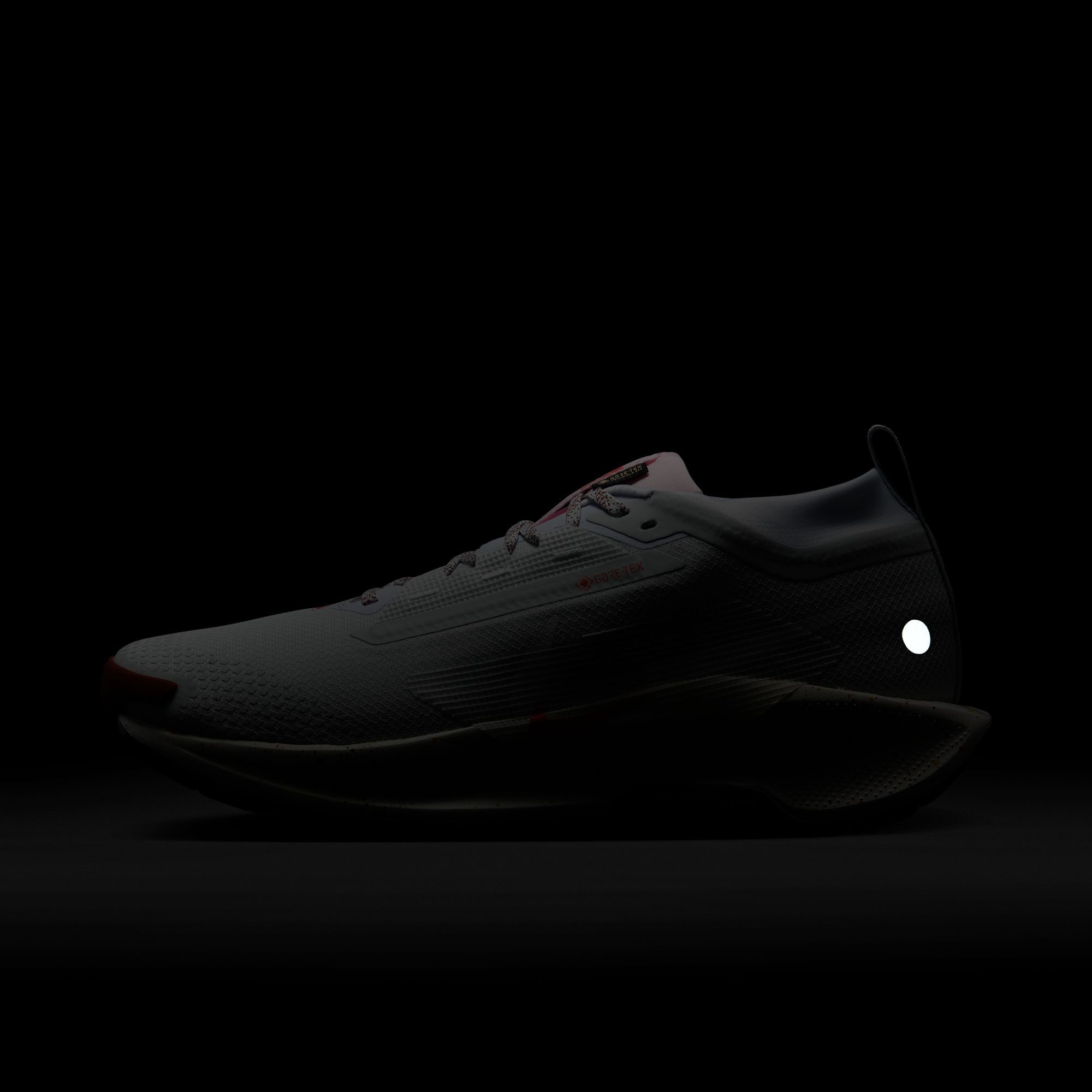 Nike Men's Pegasus Trail 5 GORE-TEX Running Shoes product image