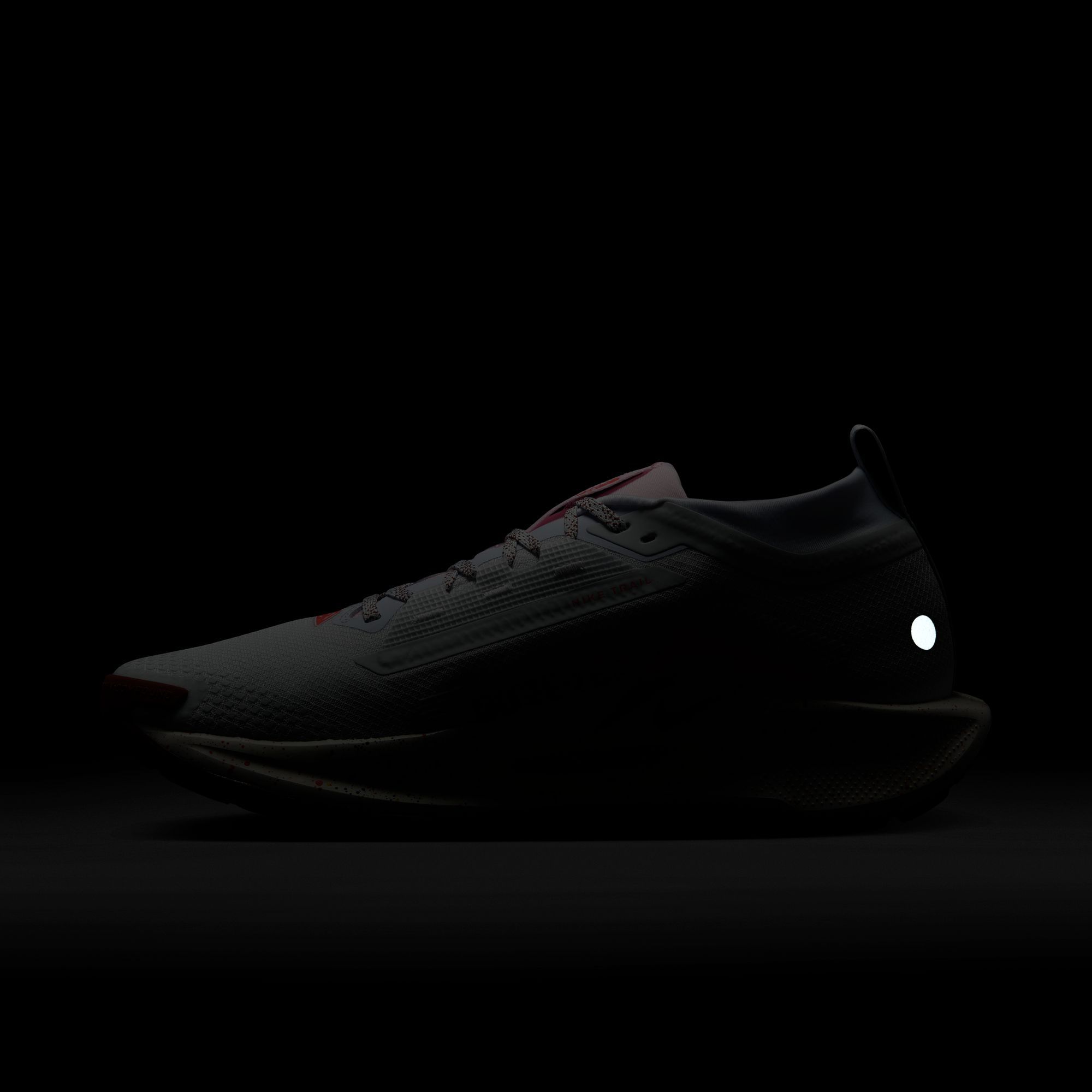 Nike Men's Pegasus Trail 5 GORE-TEX Running Shoes product image