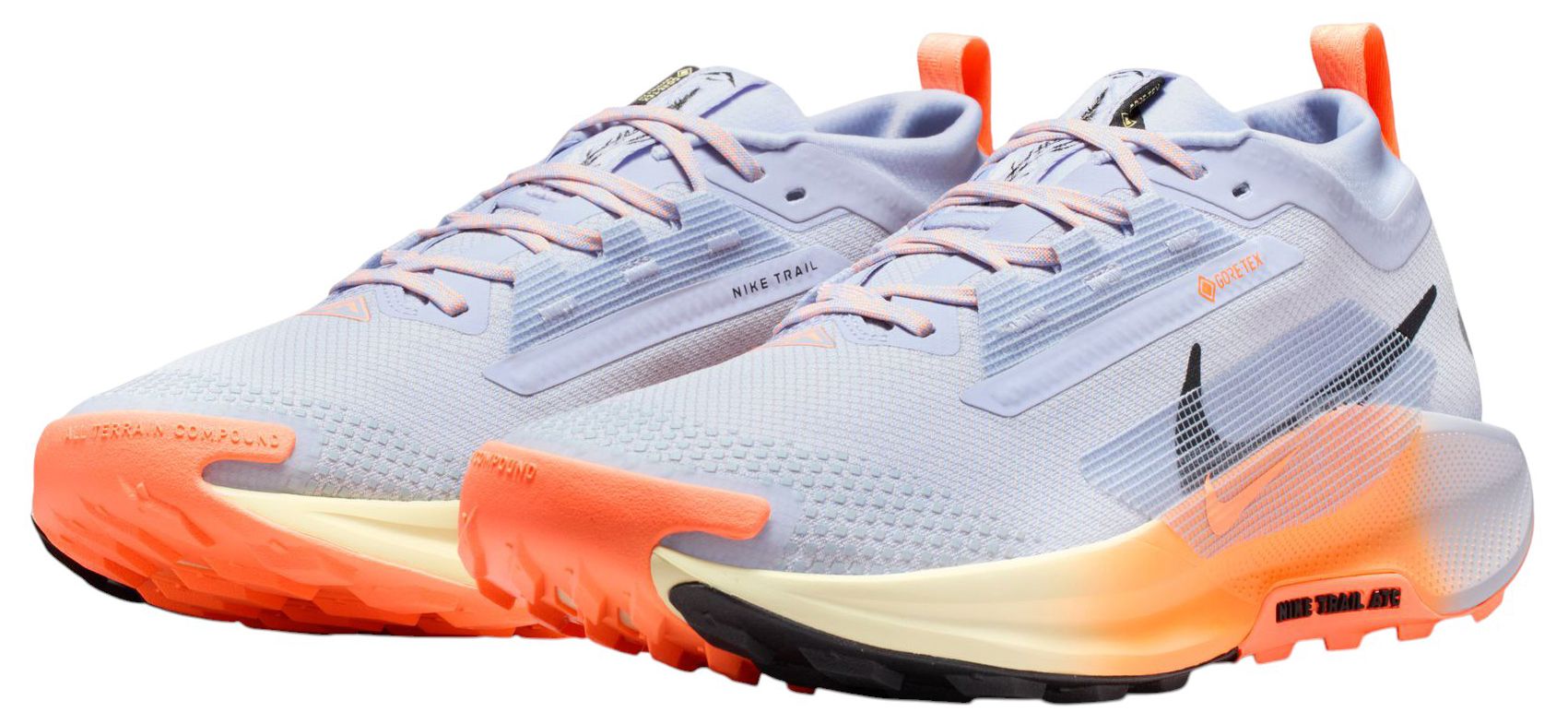 Nike Men's Pegasus Trail 5 GORE-TEX Running Shoes product image