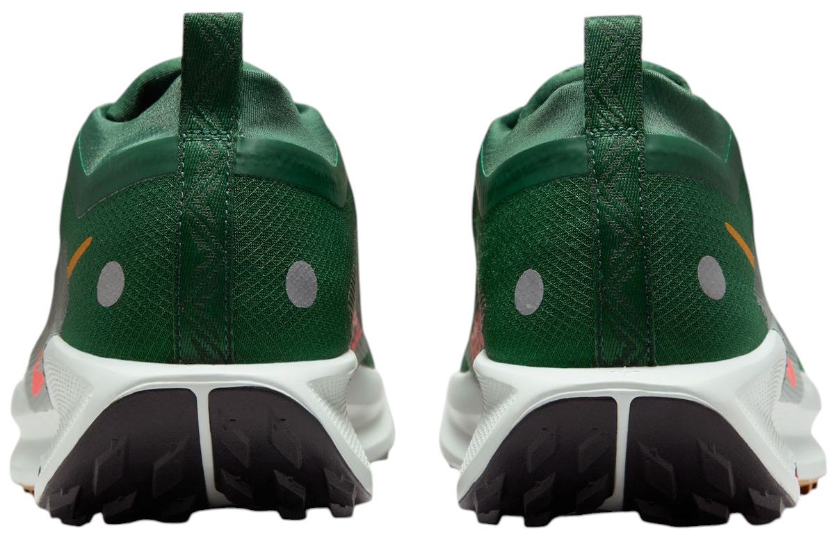 Nike Men's Pegasus Trail 5 GORE-TEX Running Shoes product image