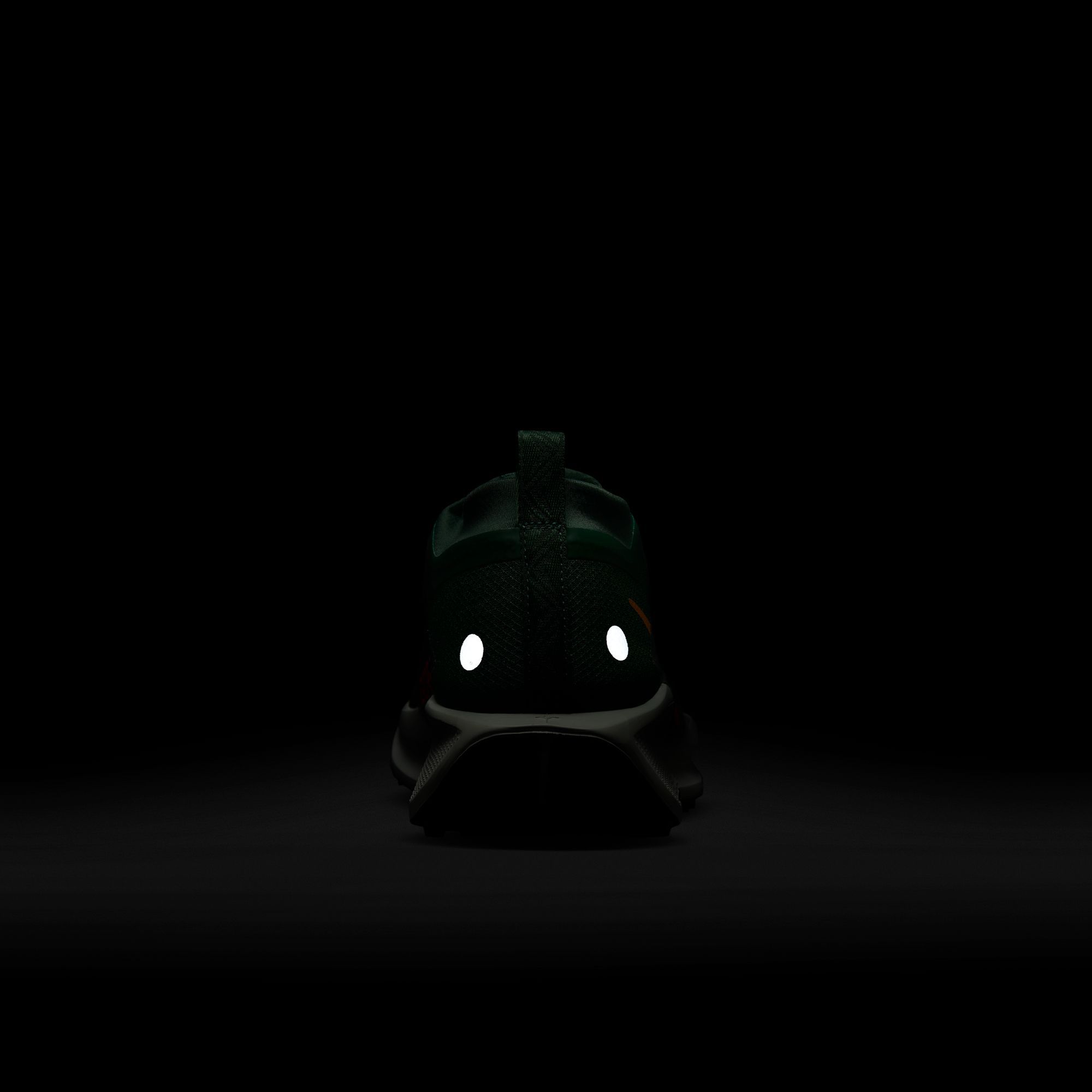 Nike Men's Pegasus Trail 5 GORE-TEX Running Shoes product image