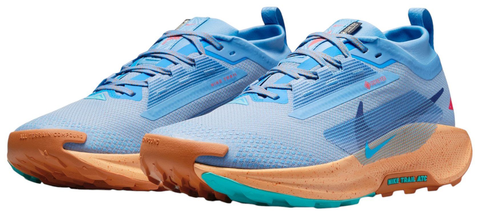 Nike Men's Pegasus Trail 5 GORE-TEX Running Shoes product image