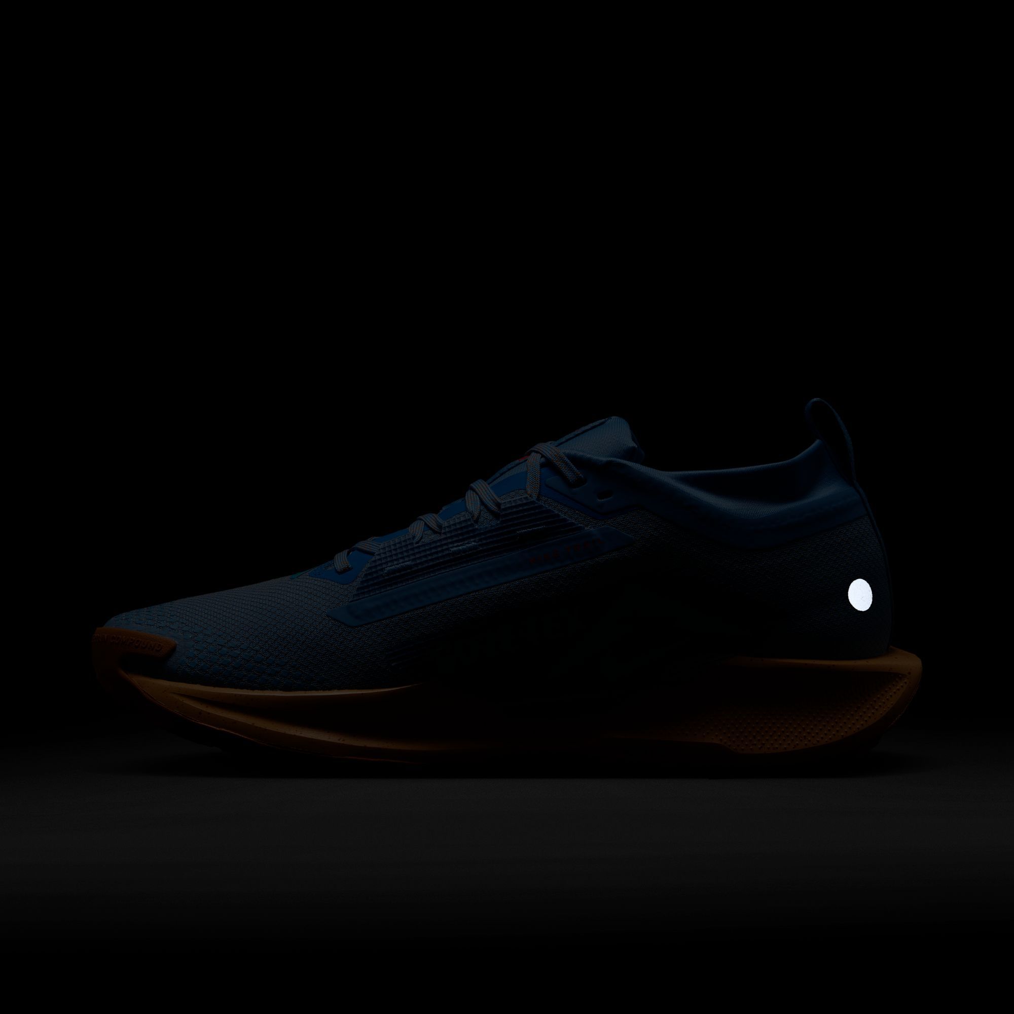 Nike Men's Pegasus Trail 5 GORE-TEX Running Shoes product image
