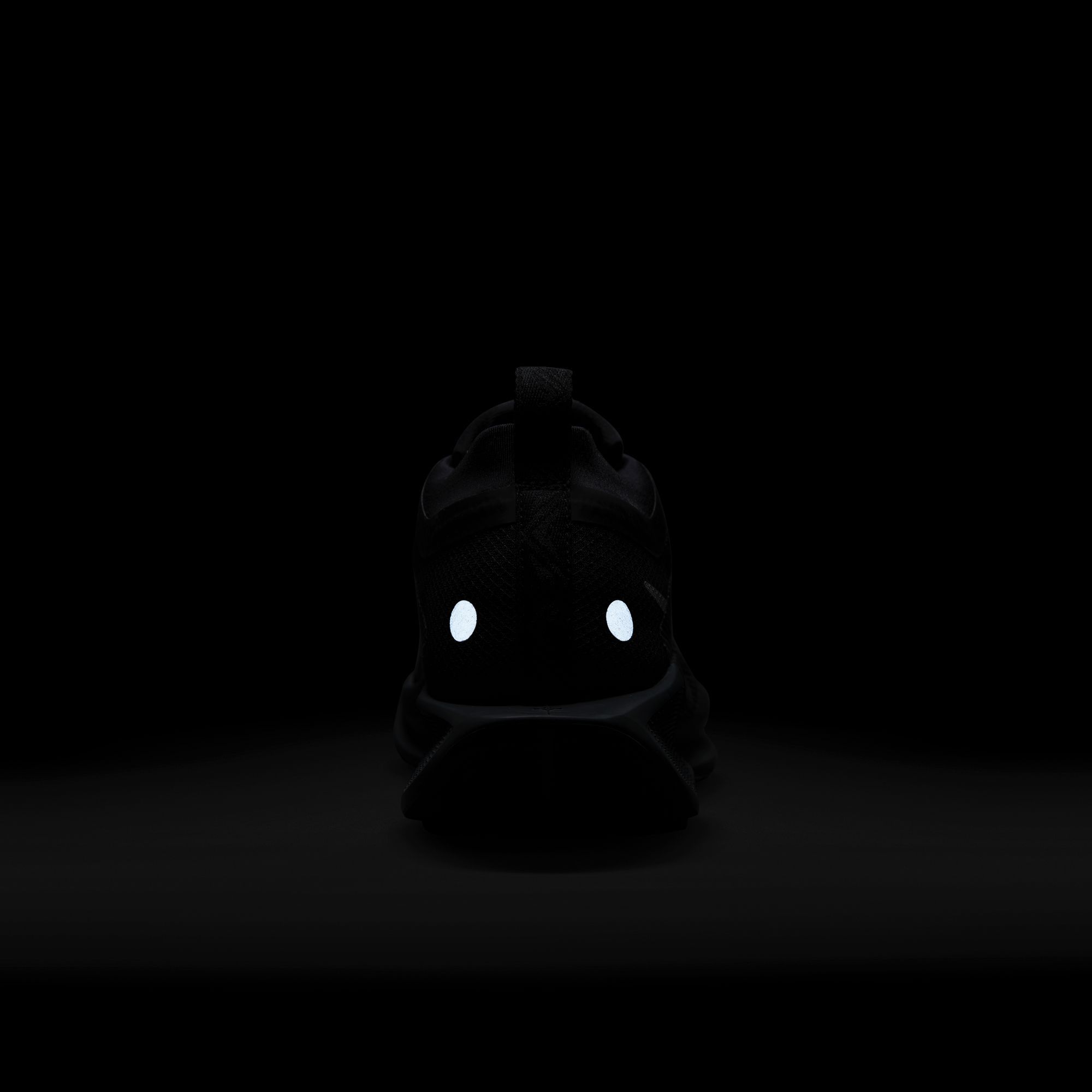 Nike Women's Pegasus Trail 5 GORE-TEX Running Shoes product image