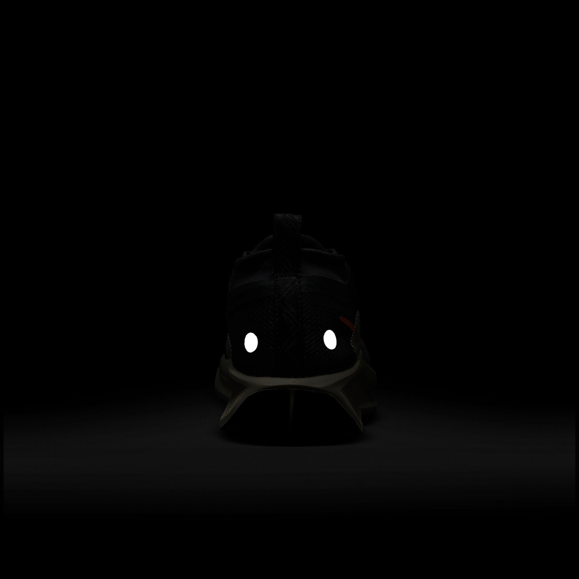 Nike Women's Pegasus Trail 5 GORE-TEX Running Shoes product image