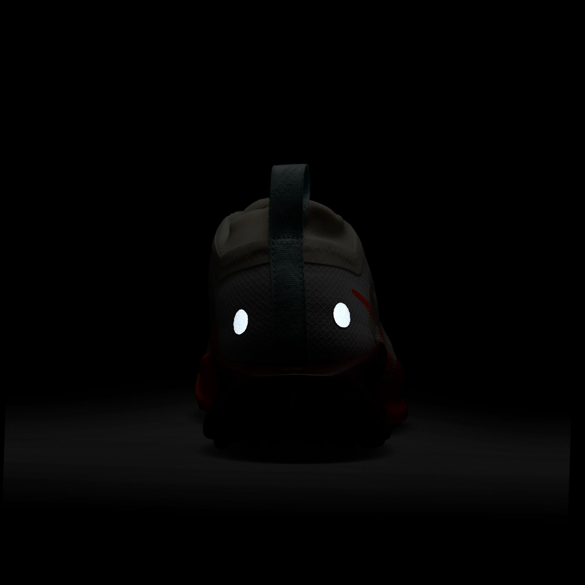 Nike Women's Pegasus Trail 5 GORE-TEX Running Shoes product image