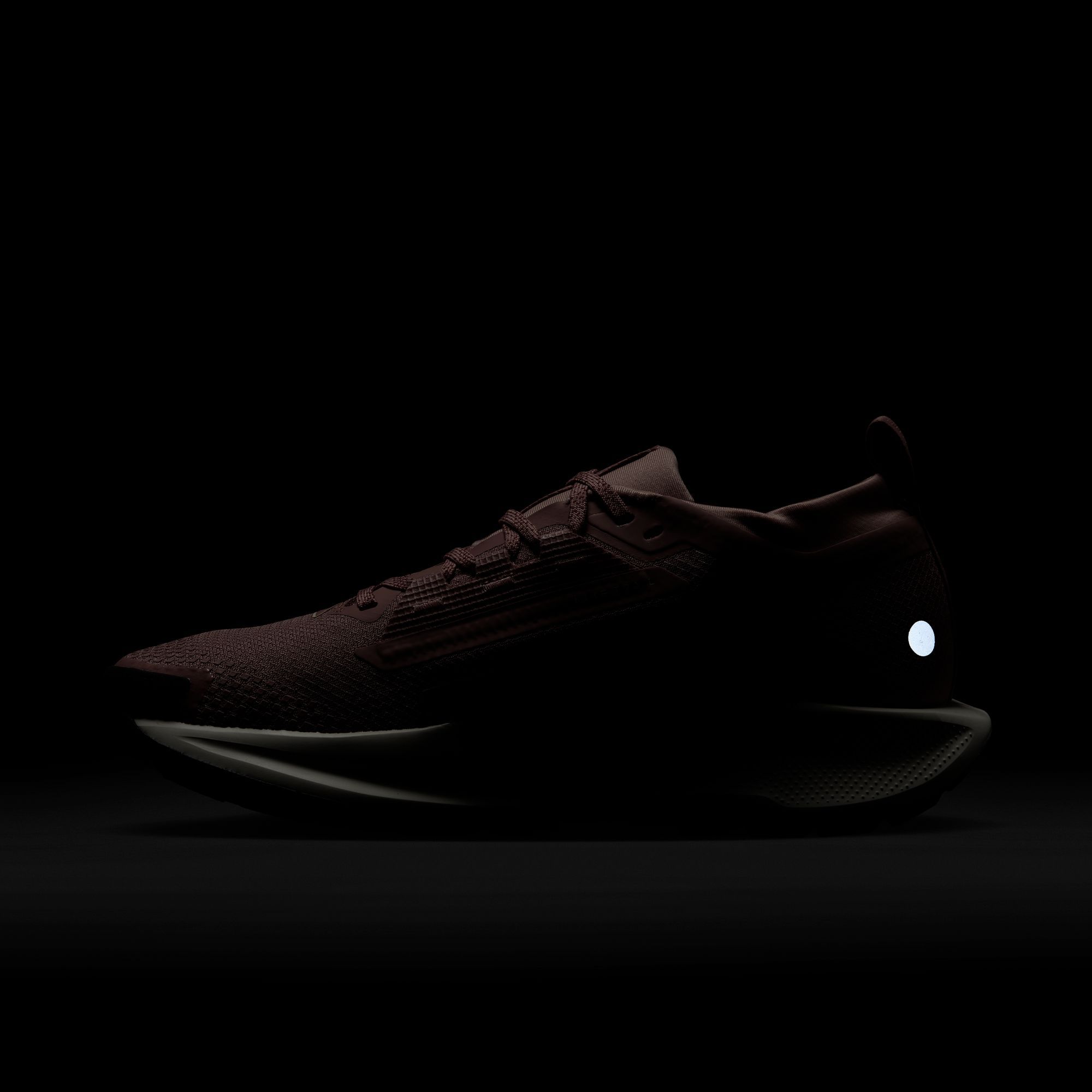 Nike Women's Pegasus Trail 5 GORE-TEX Running Shoes product image