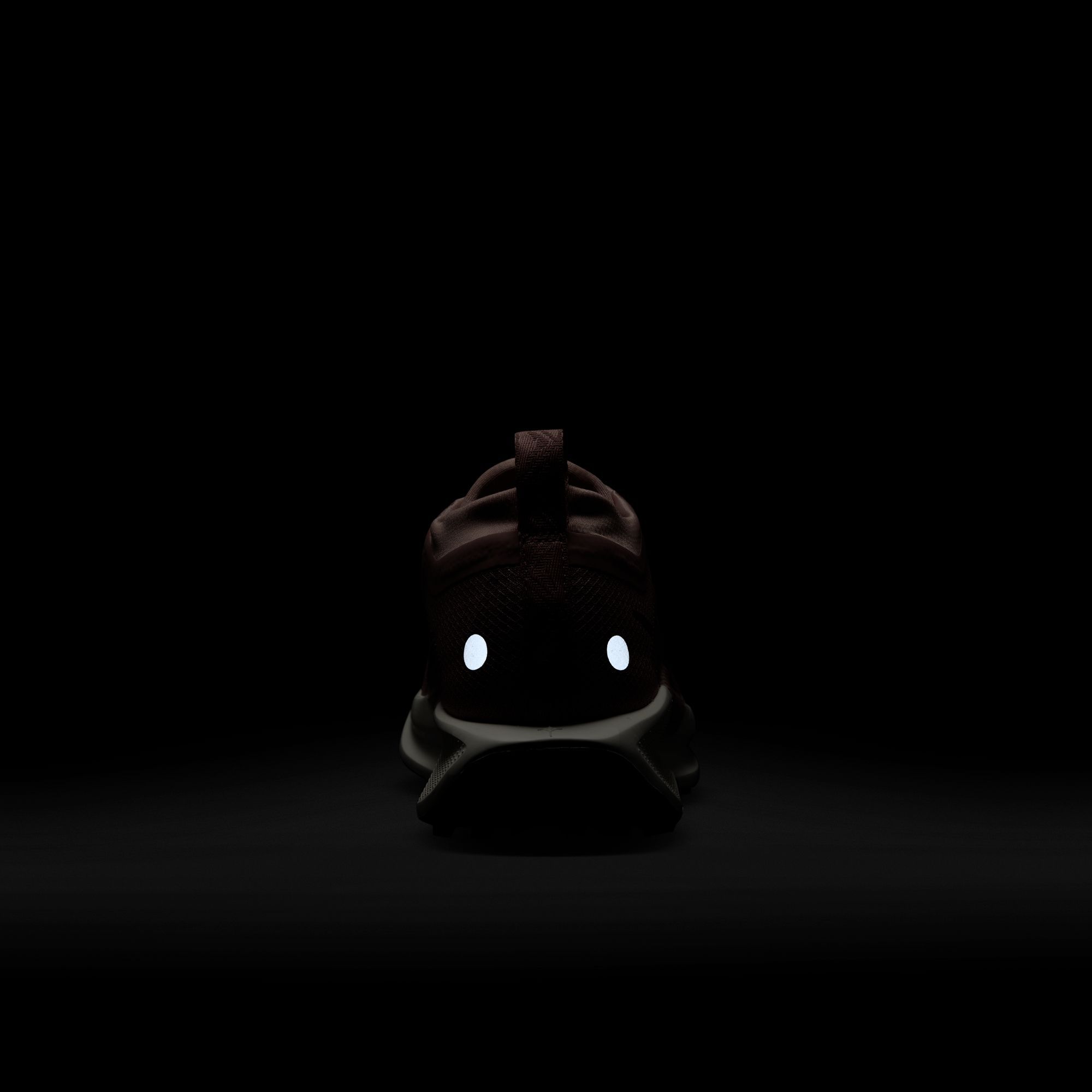 Nike Women's Pegasus Trail 5 GORE-TEX Running Shoes product image