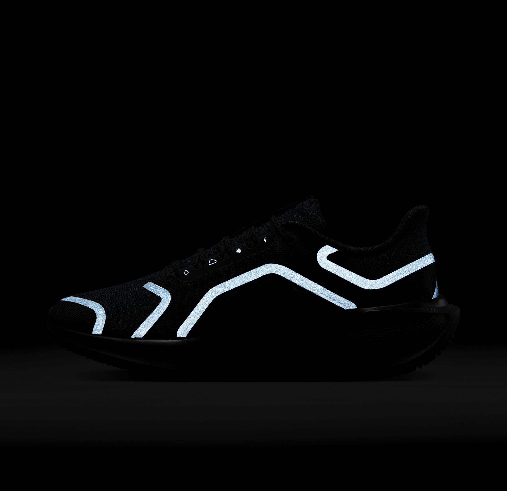 Nike Men's Pegasus 41 GORE-TEX Running Shoes product image