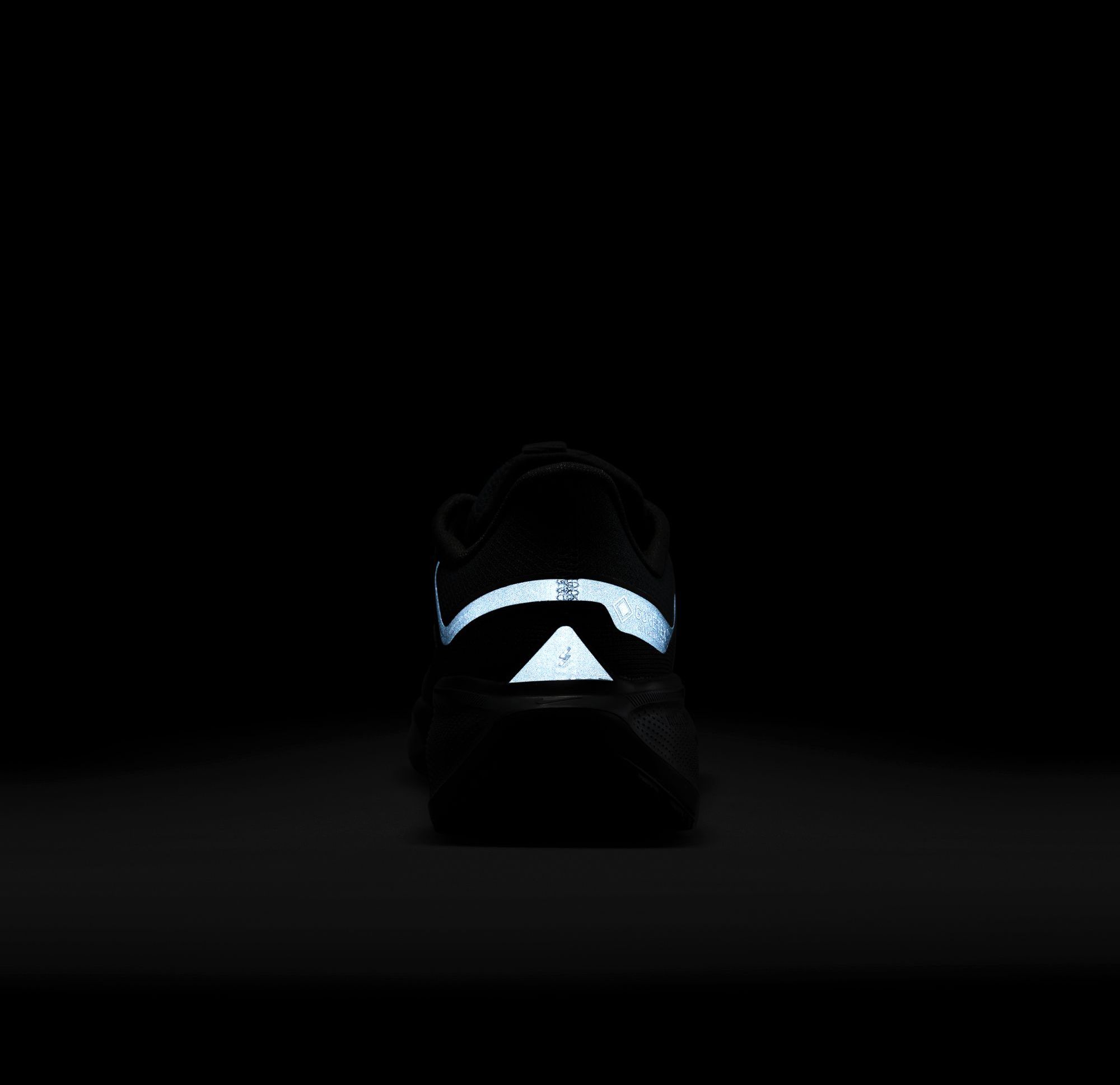 Nike Men's Pegasus 41 GORE-TEX Running Shoes product image