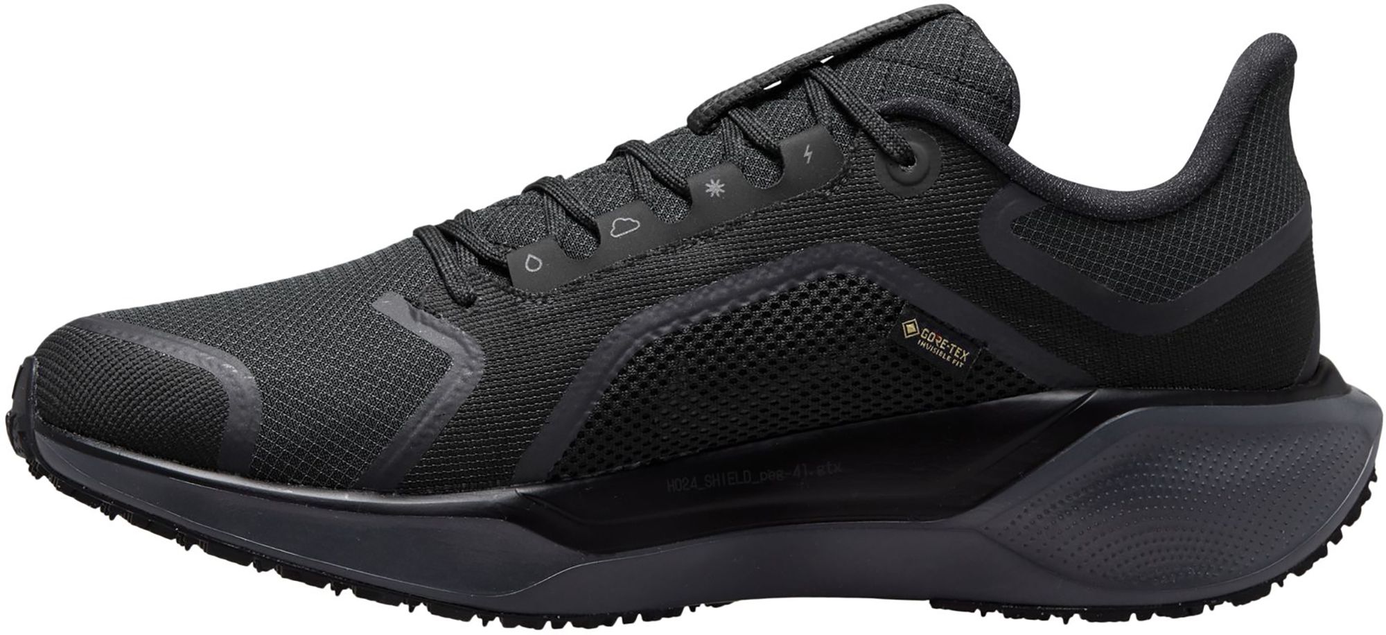 Nike Men's Pegasus 41 GORE-TEX Running Shoes product image