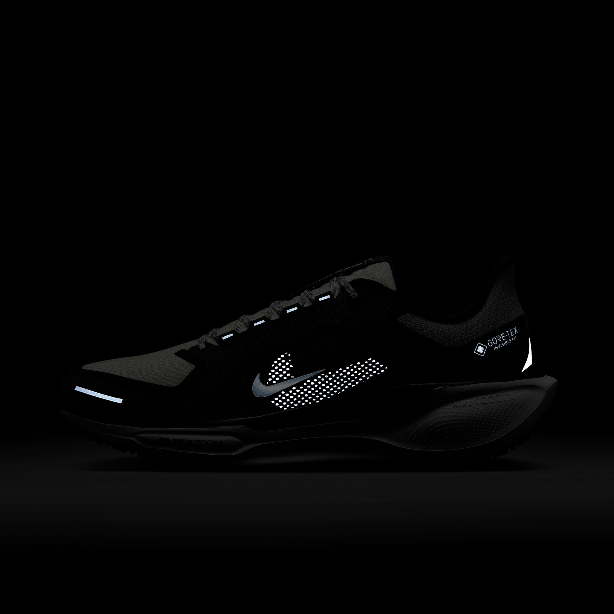 Nike Men's Pegasus 41 GORE-TEX Running Shoes product image