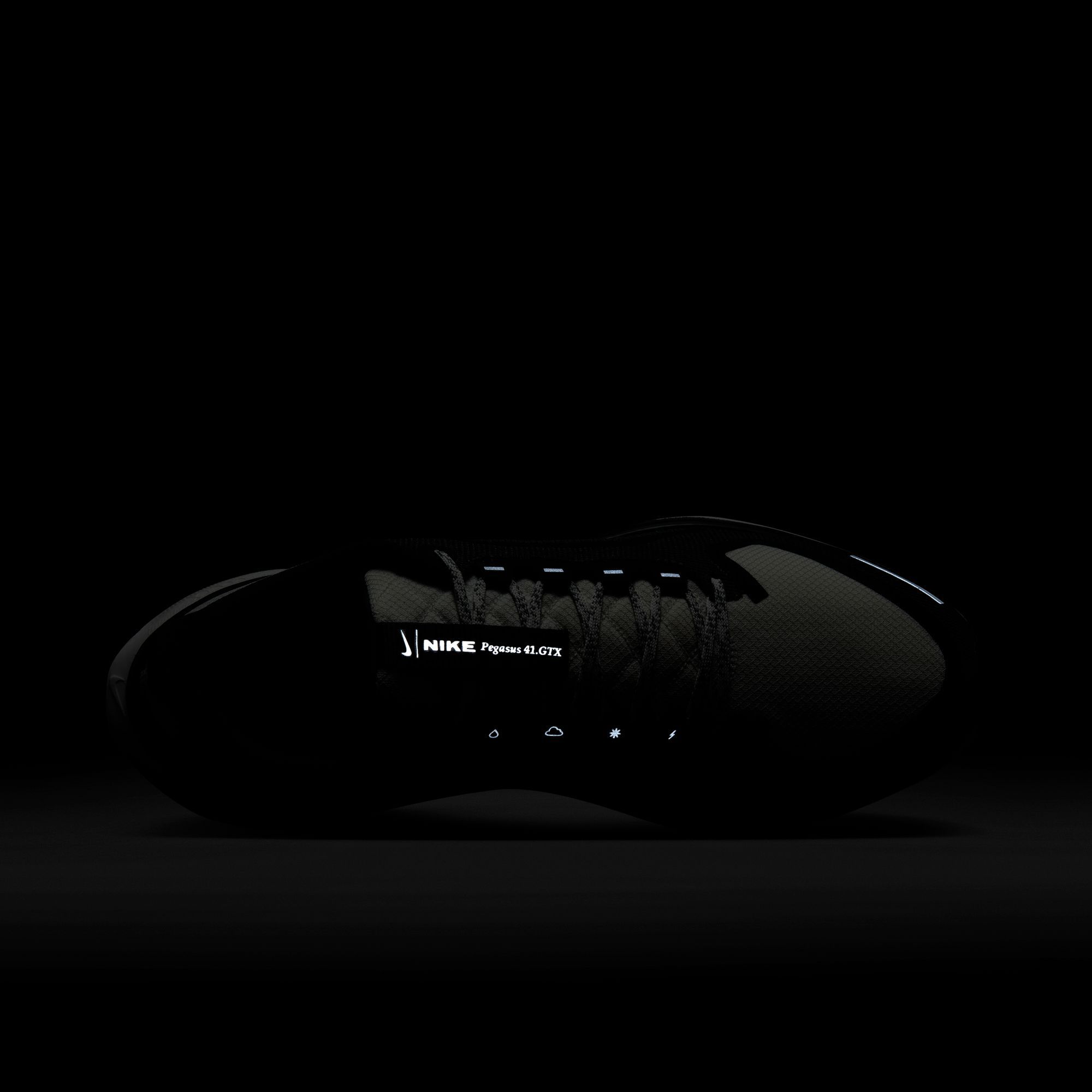 Nike Men's Pegasus 41 GORE-TEX Running Shoes product image