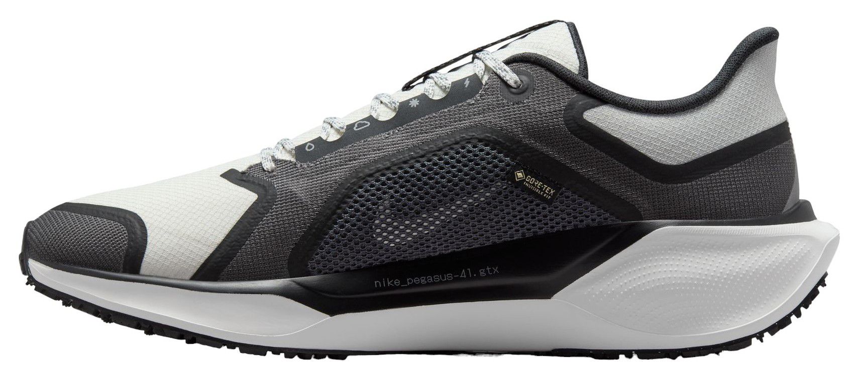 Nike Men's Pegasus 41 GORE-TEX Running Shoes product image