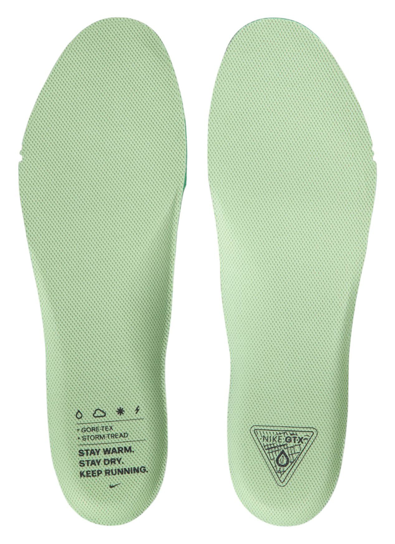 Nike Men's Pegasus 41 GORE-TEX Running Shoes product image