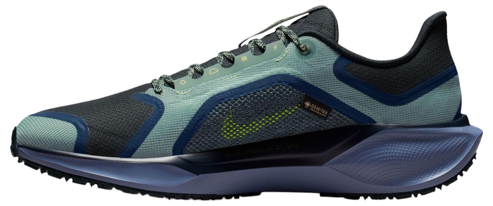 Nike Men's Pegasus 41 GORE-TEX Running Shoes product image