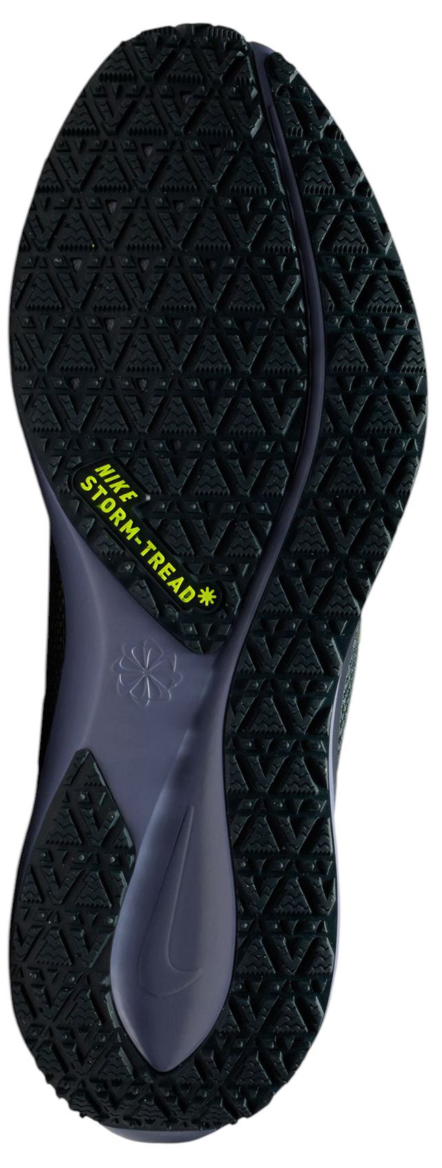 Nike Men's Pegasus 41 GORE-TEX Running Shoes product image