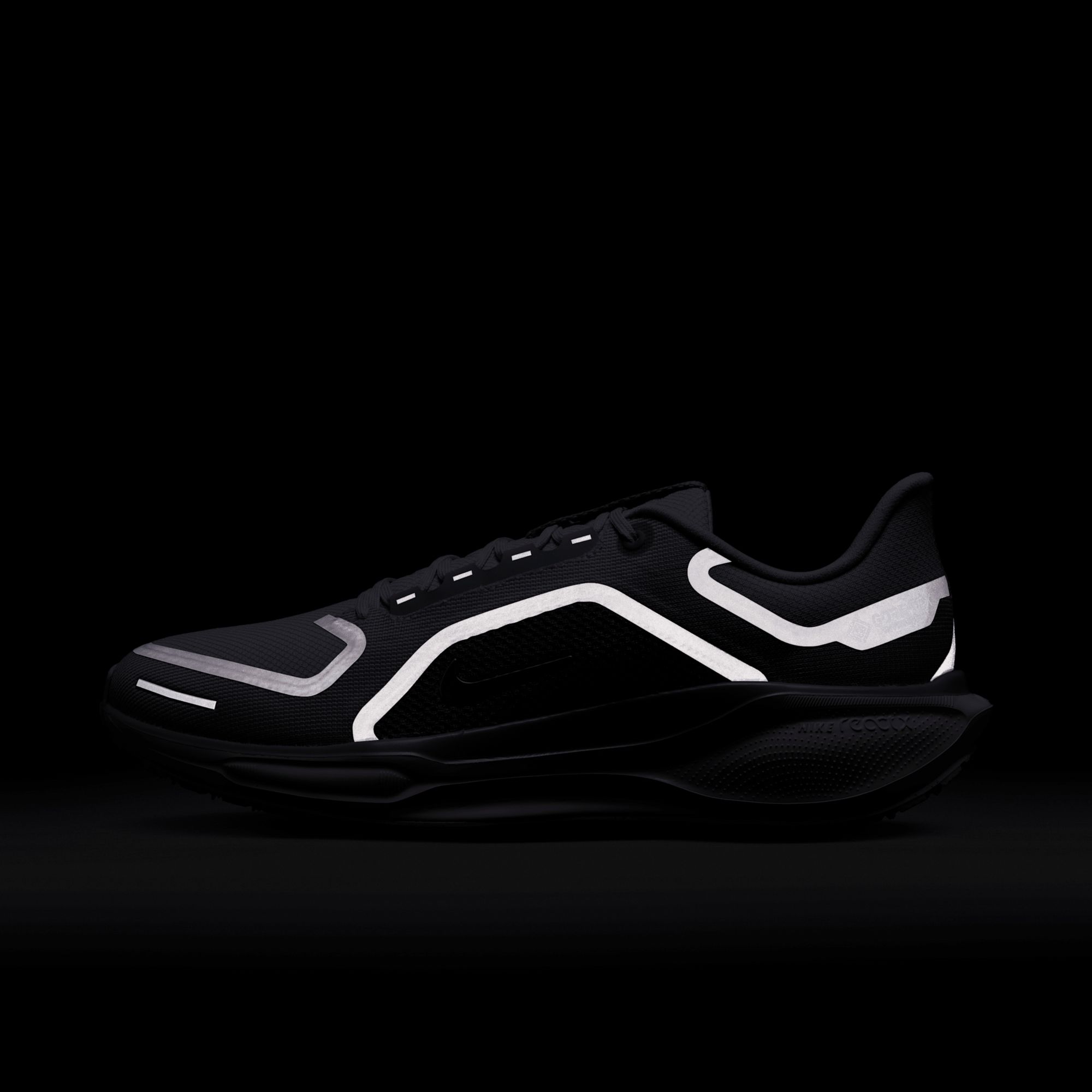 Nike Men's Pegasus 41 GORE-TEX Running Shoes product image