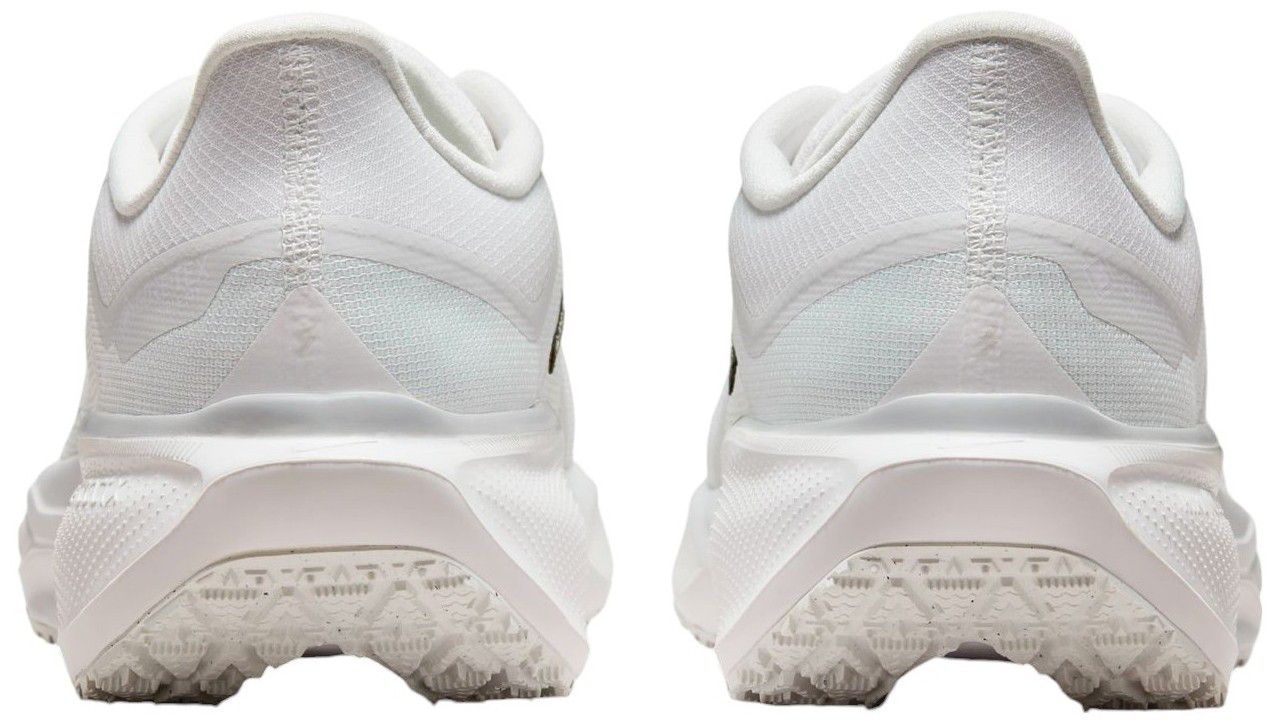 Nike Men's Pegasus 41 GORE-TEX Running Shoes product image