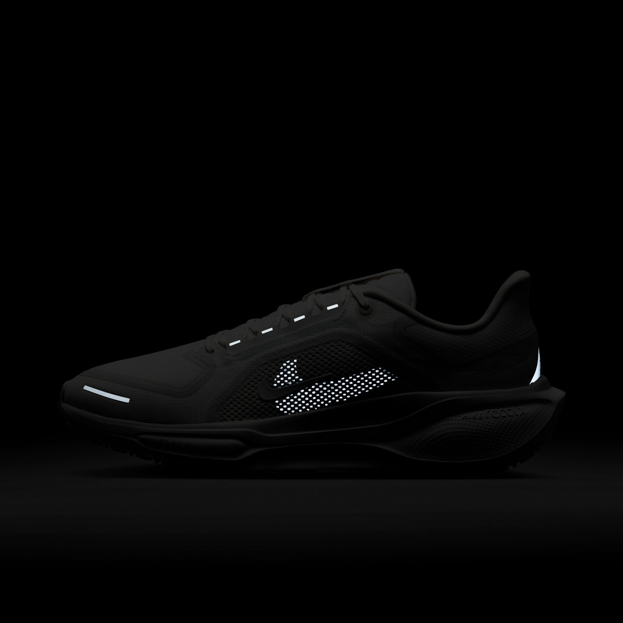 Nike Men's Pegasus 41 GORE-TEX Running Shoes product image