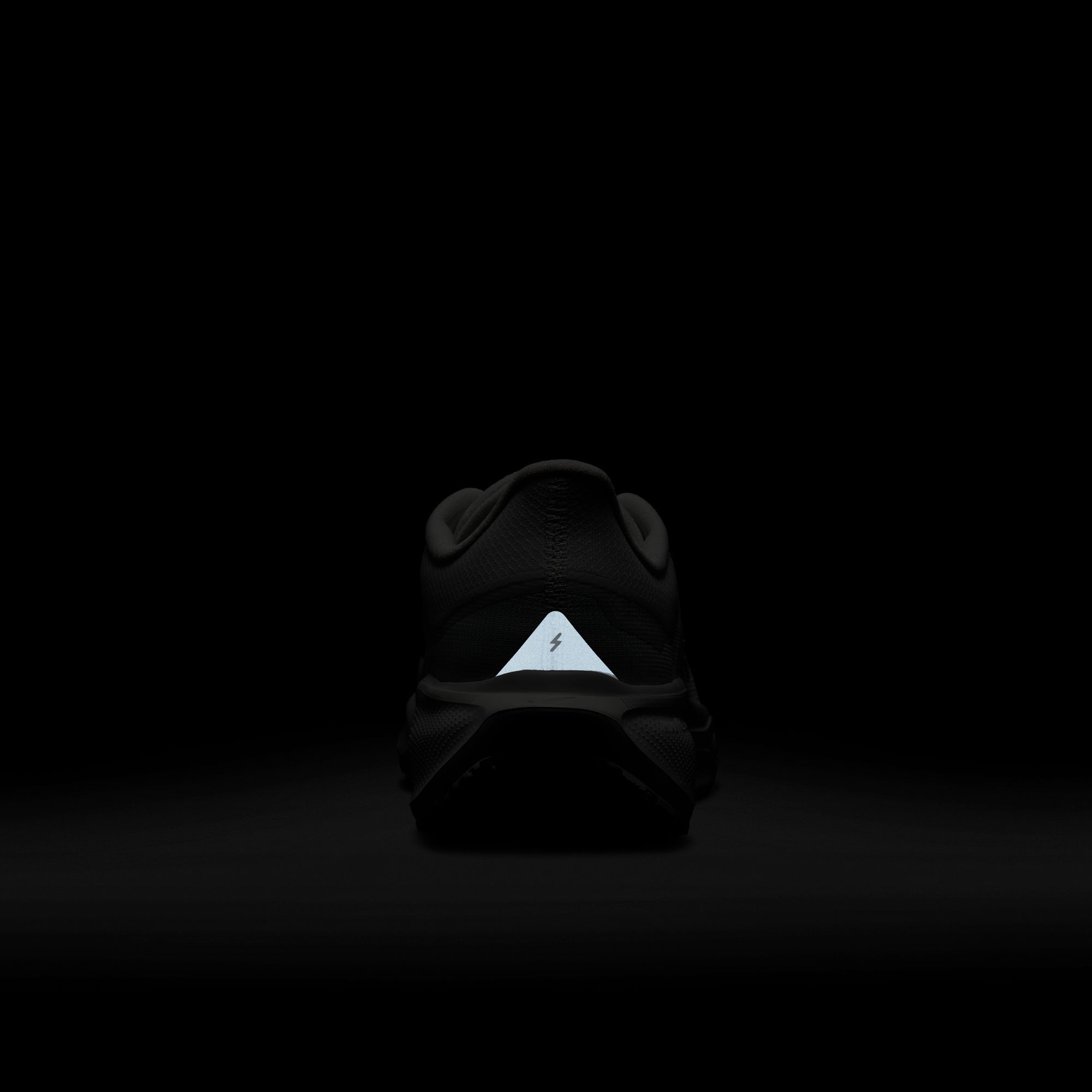 Nike Men's Pegasus 41 GORE-TEX Running Shoes product image