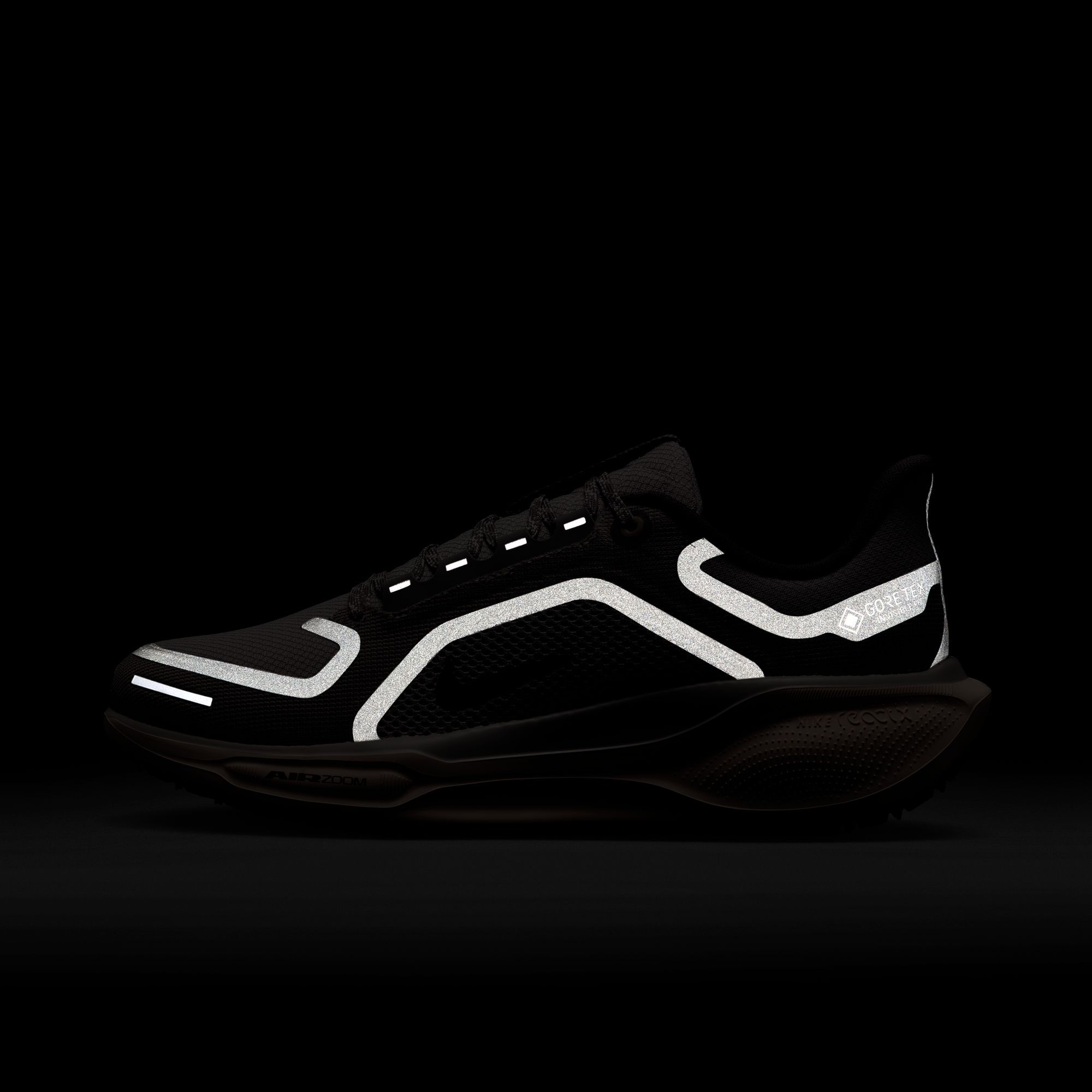 Nike Women's Pegasus 41 GORE-TEX Running Shoes product image