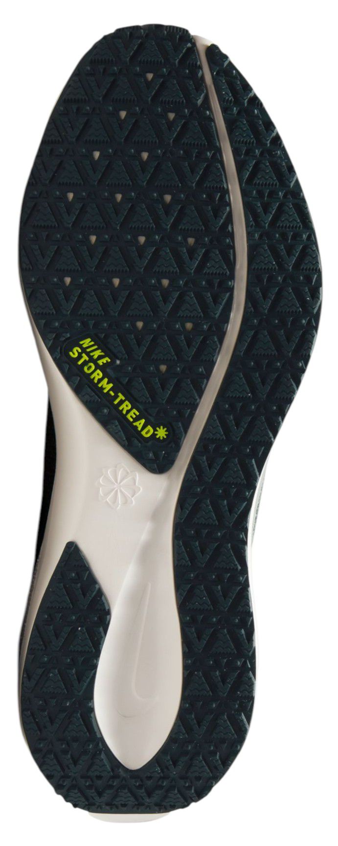 Nike Women's Pegasus 41 GORE-TEX Running Shoes product image