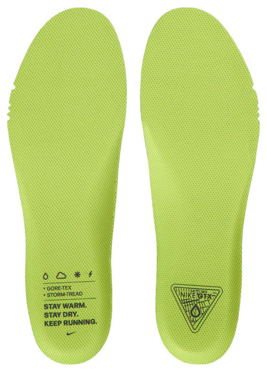 Nike Women's Pegasus 41 GORE-TEX Running Shoes product image