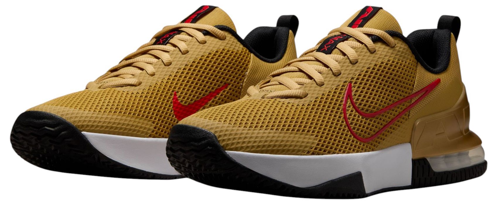 Nike Men's Air Max Alpha 6 Training Shoes product image