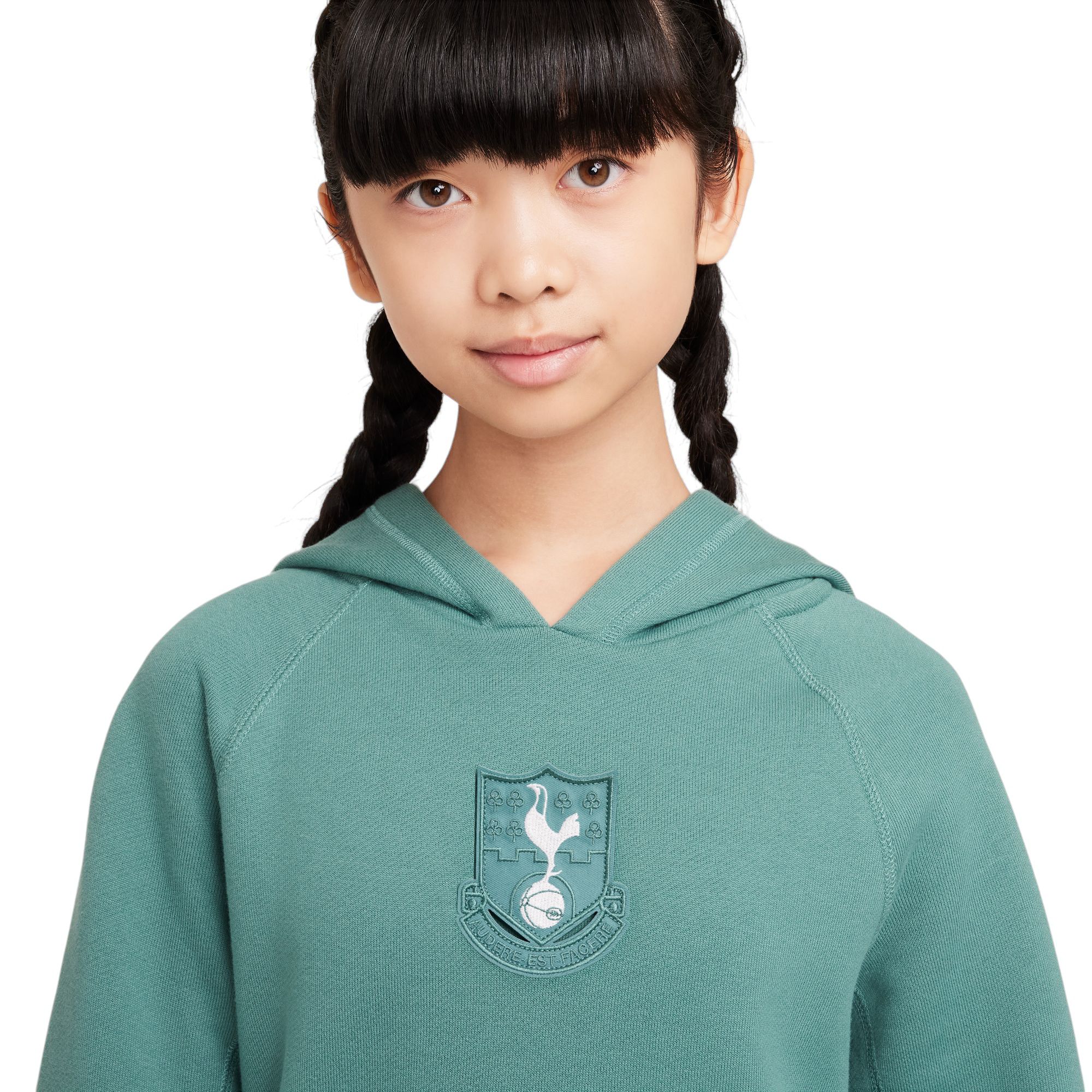 Nike Men's Tottenham 2024 Grey Air Hoodie product image