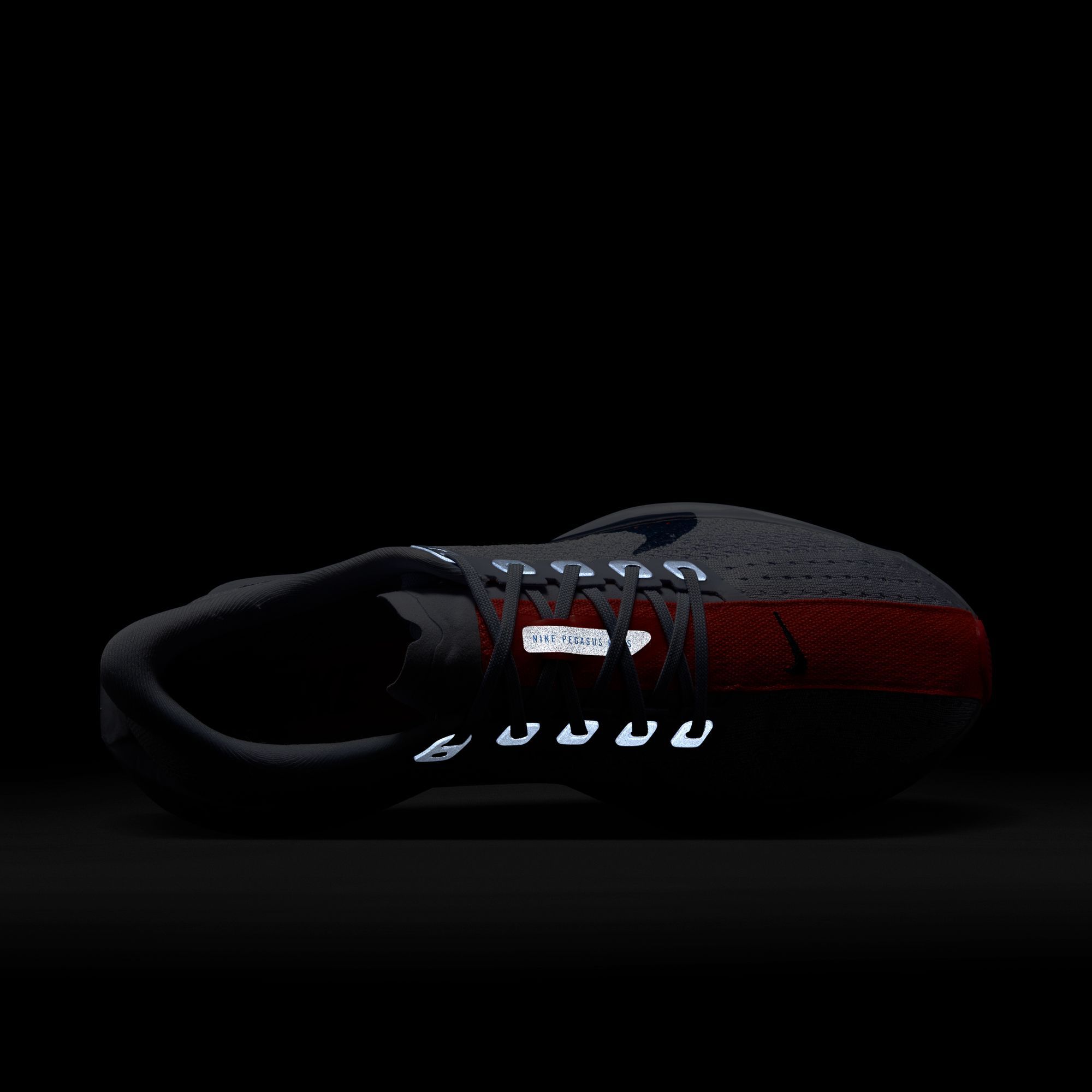 Nike Women's Pegasus Plus Running Shoes product image