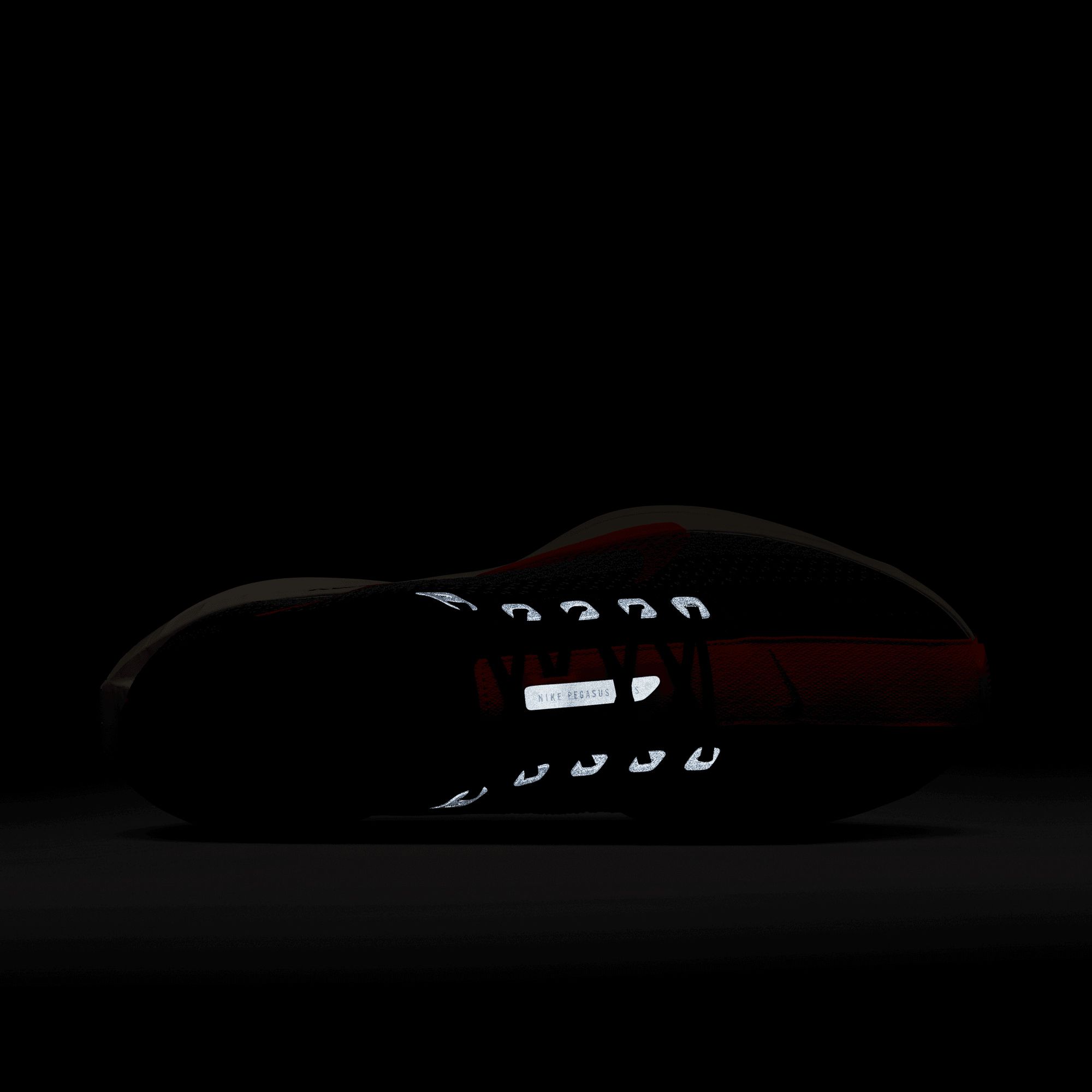 Nike Men's Pegasus Plus Running Shoes product image