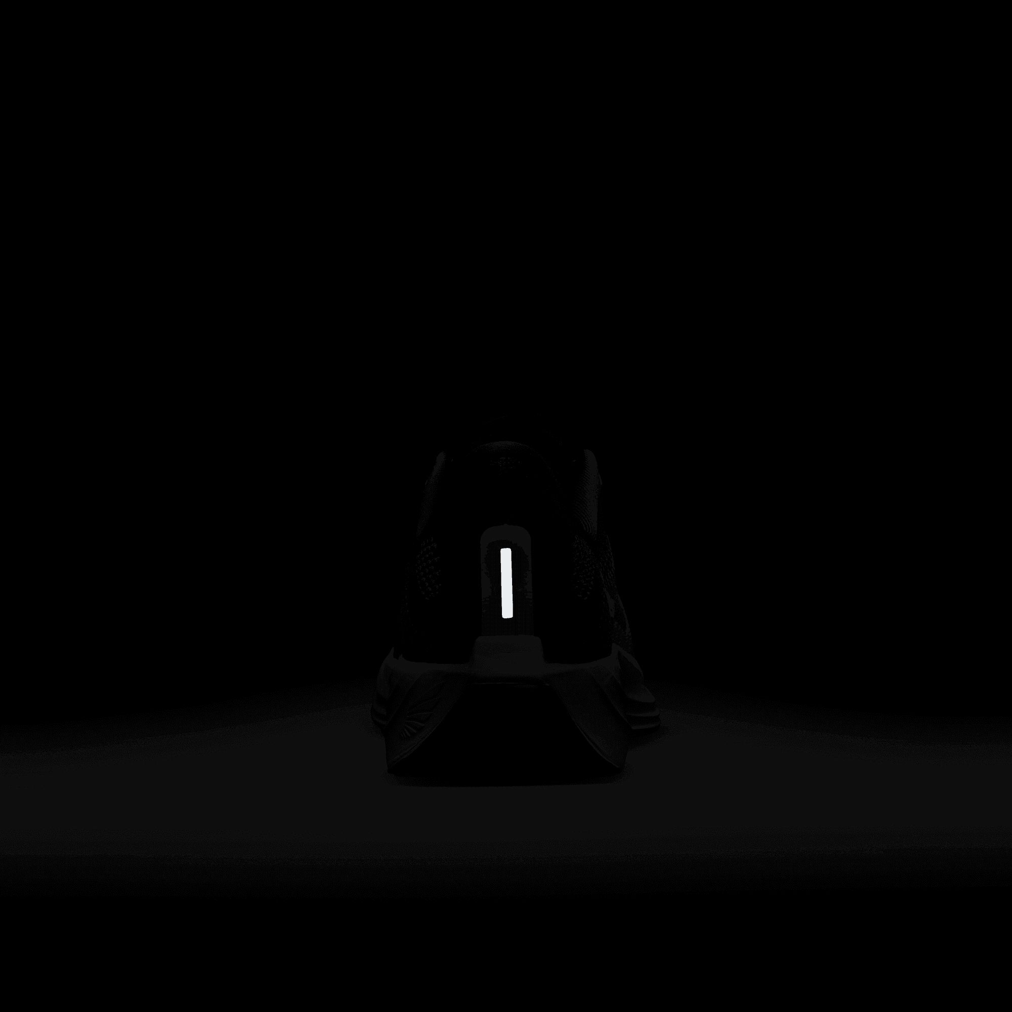 Nike Men's Pegasus Plus Running Shoes product image