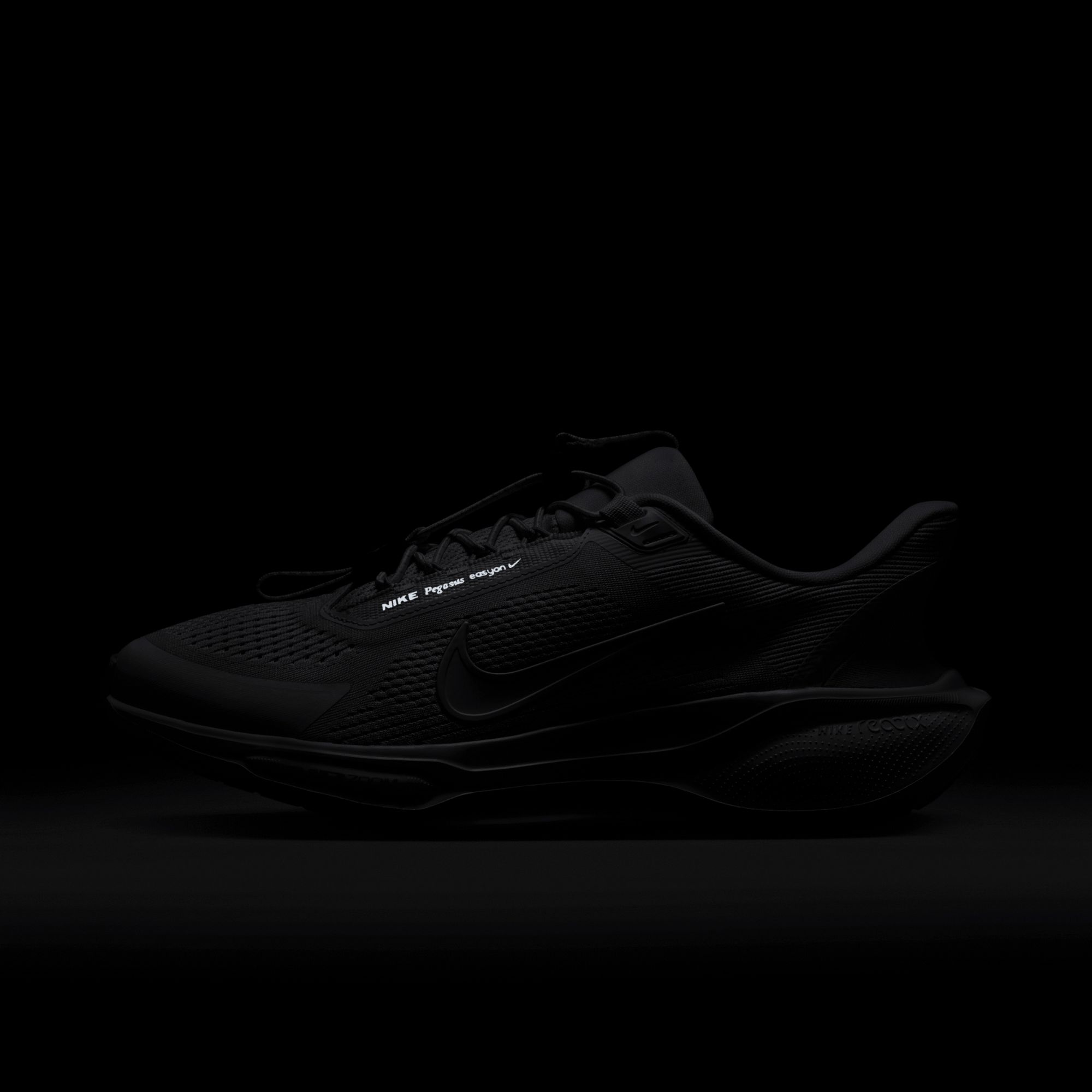 Nike Men's Pegasus EasyOn Running Shoes product image