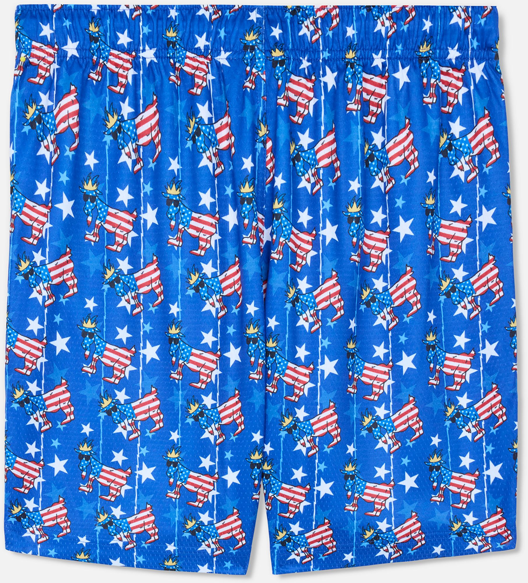 GOAT USA Boys' Freedom AOP Shorts product image