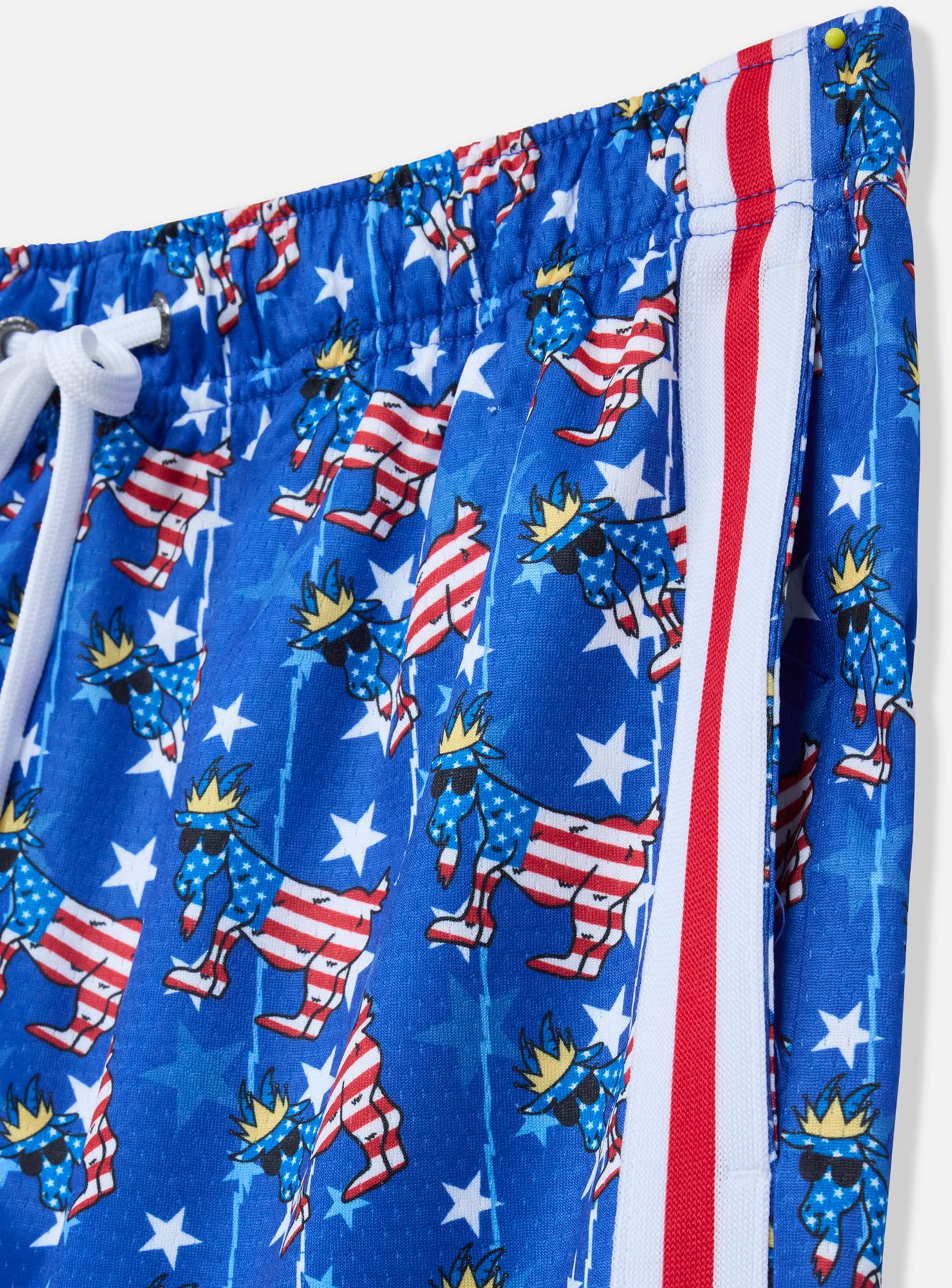 GOAT USA Boys' Freedom AOP Shorts product image