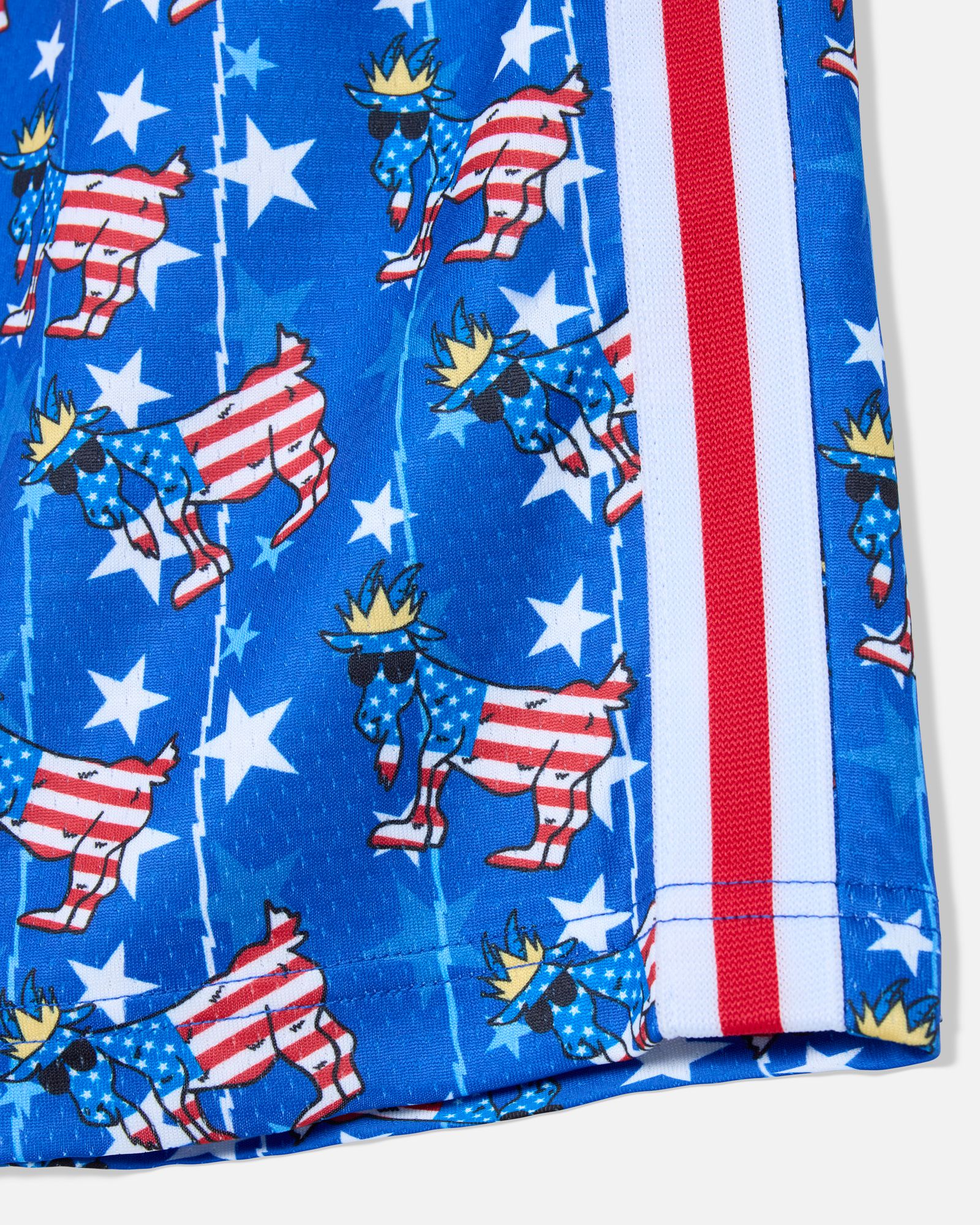 GOAT USA Boys' Freedom AOP Shorts product image