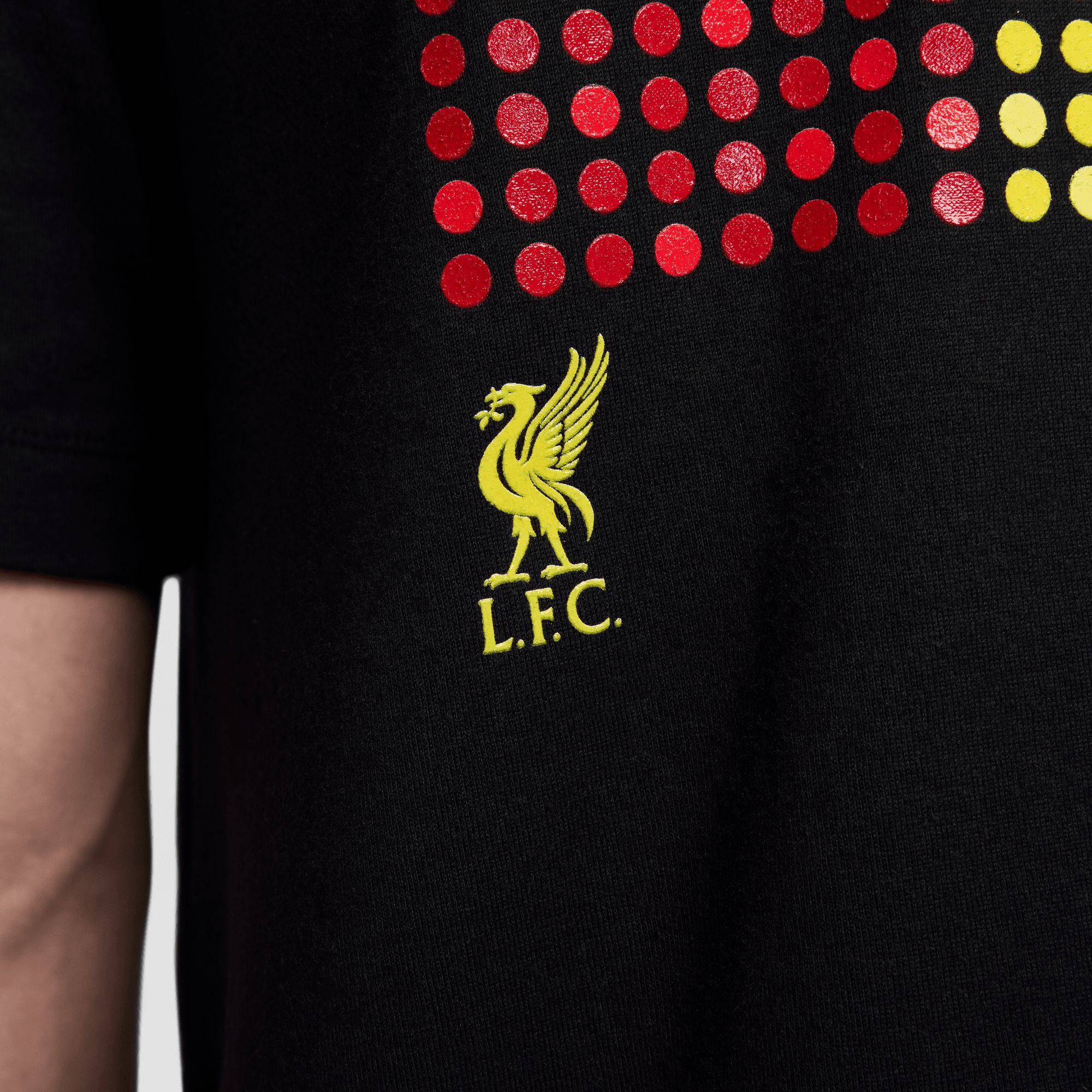 Nike Adult Liverpool FC Lights Black T-Shirt product image