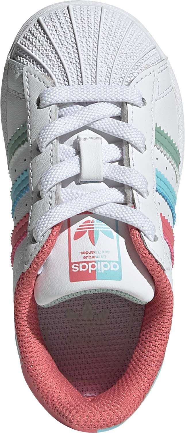 toddler shell toe adidas