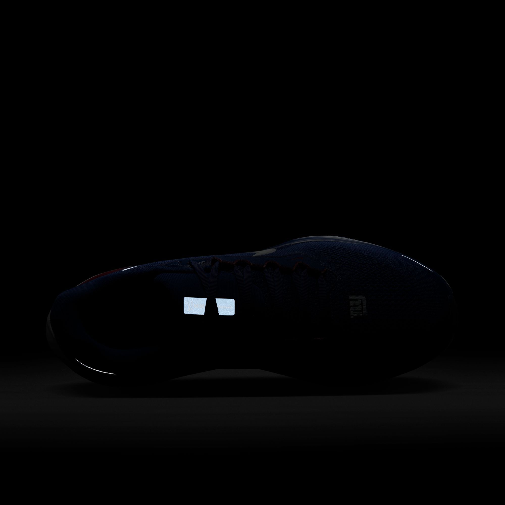 Nike Pegasus 41 Giants Running Shoes product image