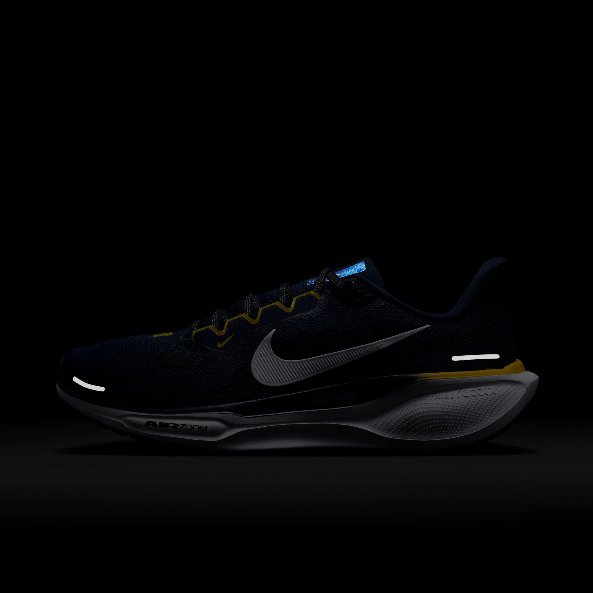 Nike Pegasus 41 Michigan Running Shoes product image
