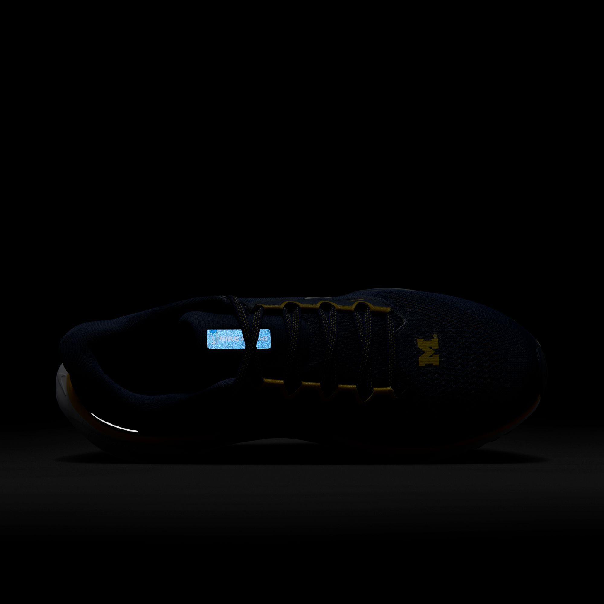 Nike Pegasus 41 Michigan Running Shoes product image