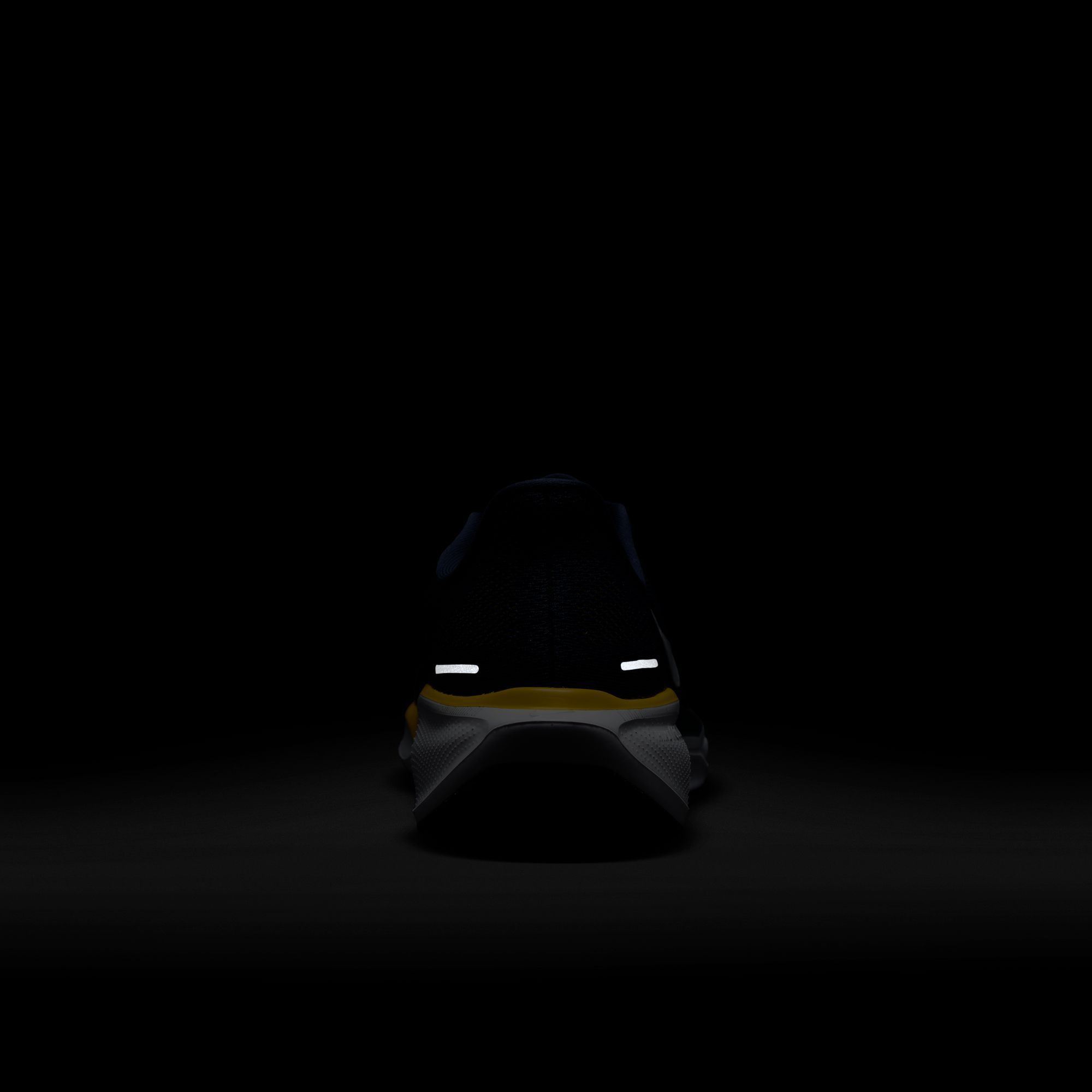 Nike Pegasus 41 Michigan Running Shoes product image