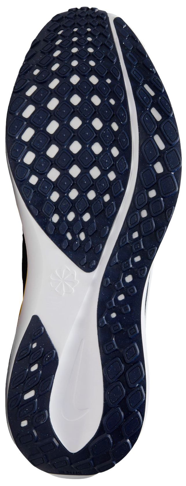 Nike Pegasus 41 Michigan Running Shoes product image