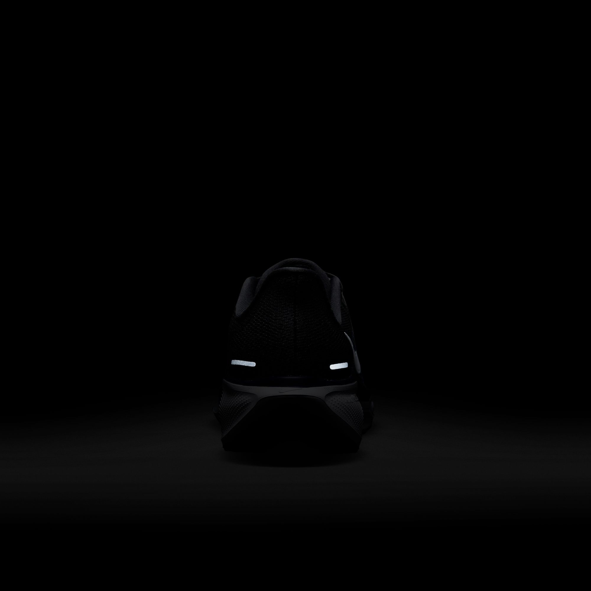 Nike Pegasus 41 TCU Running Shoes product image